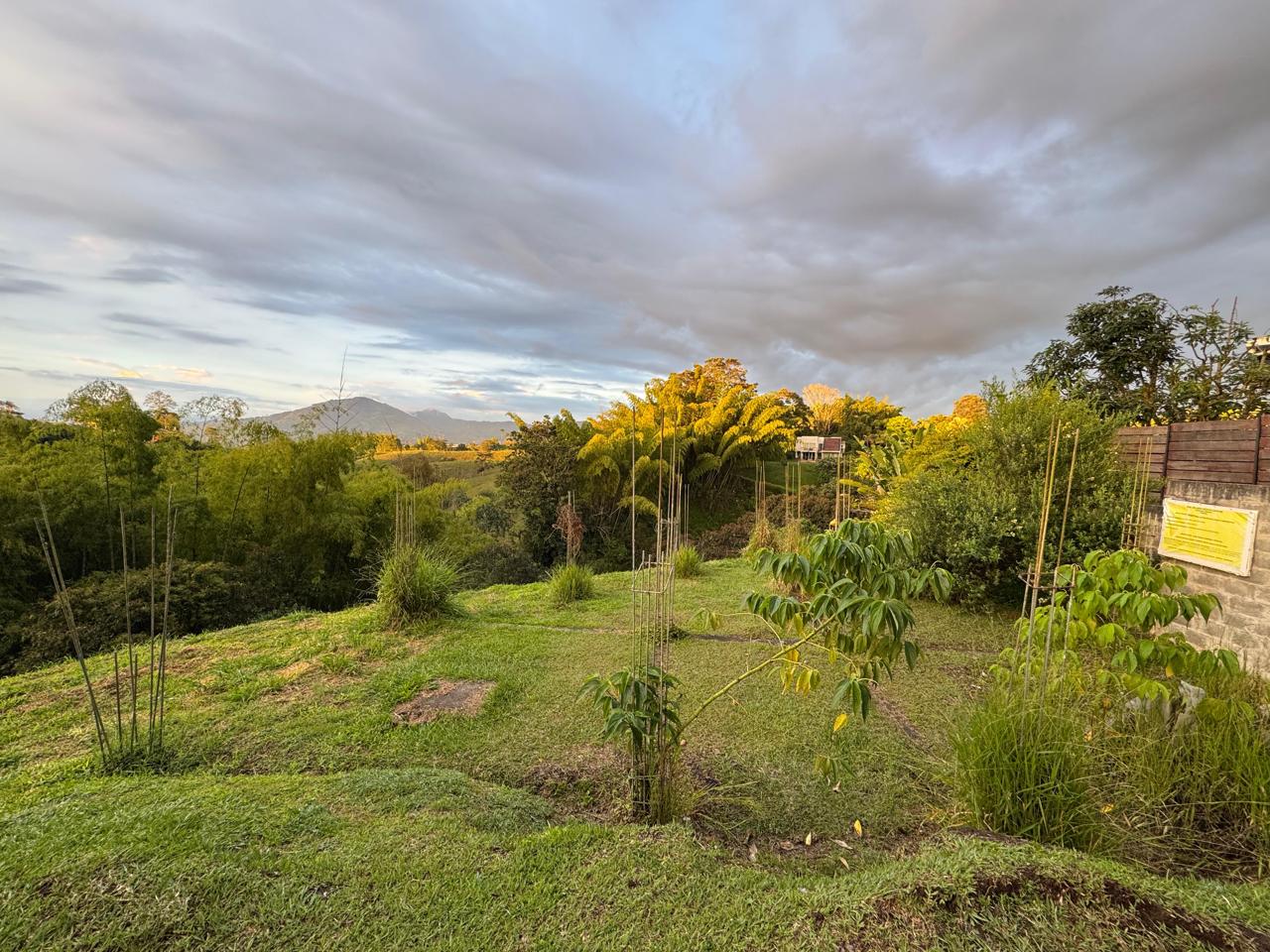 Lote en Venta Frente al Liceo Francés de Pereira