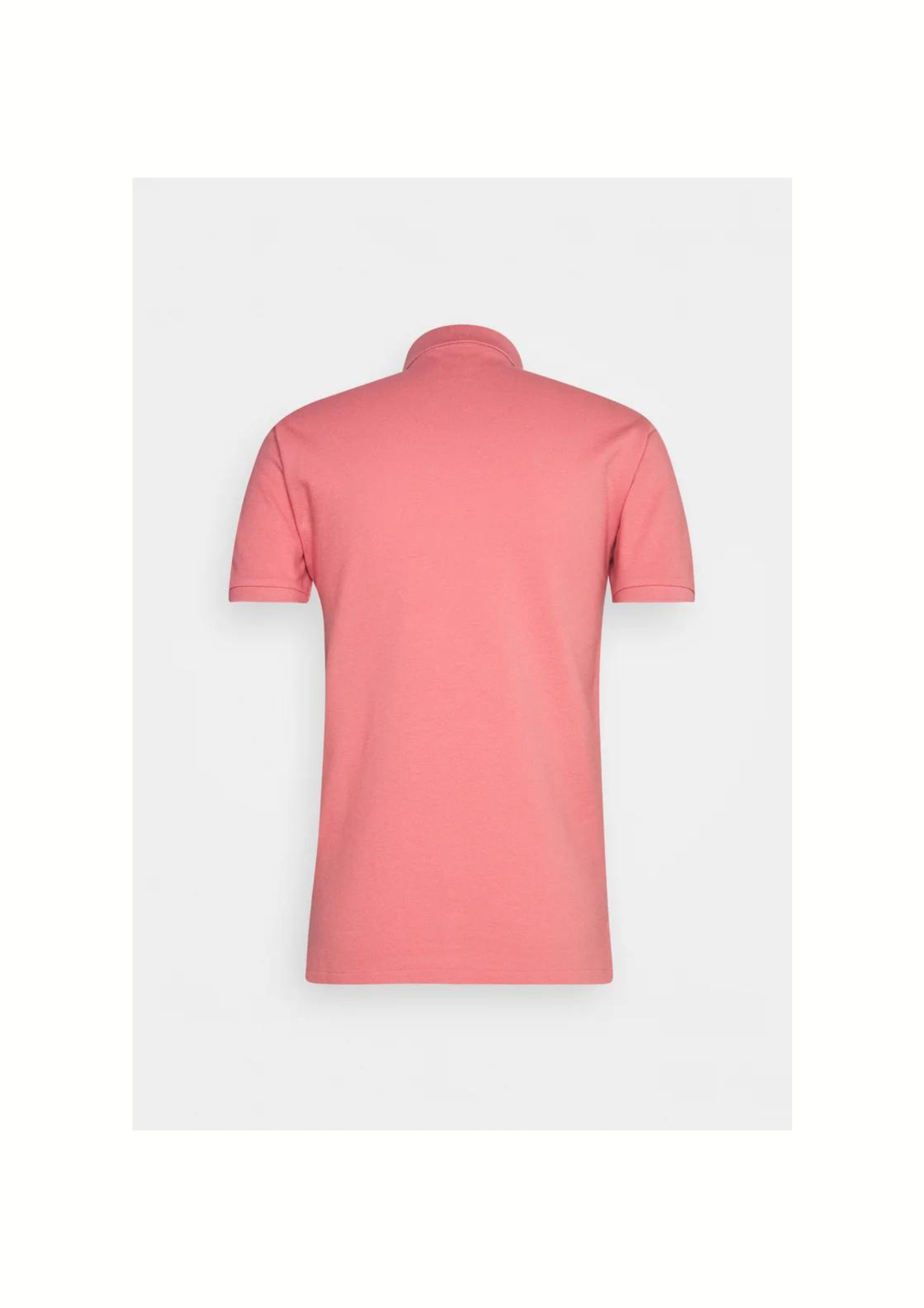 0- Polo Ralph Lauren rose