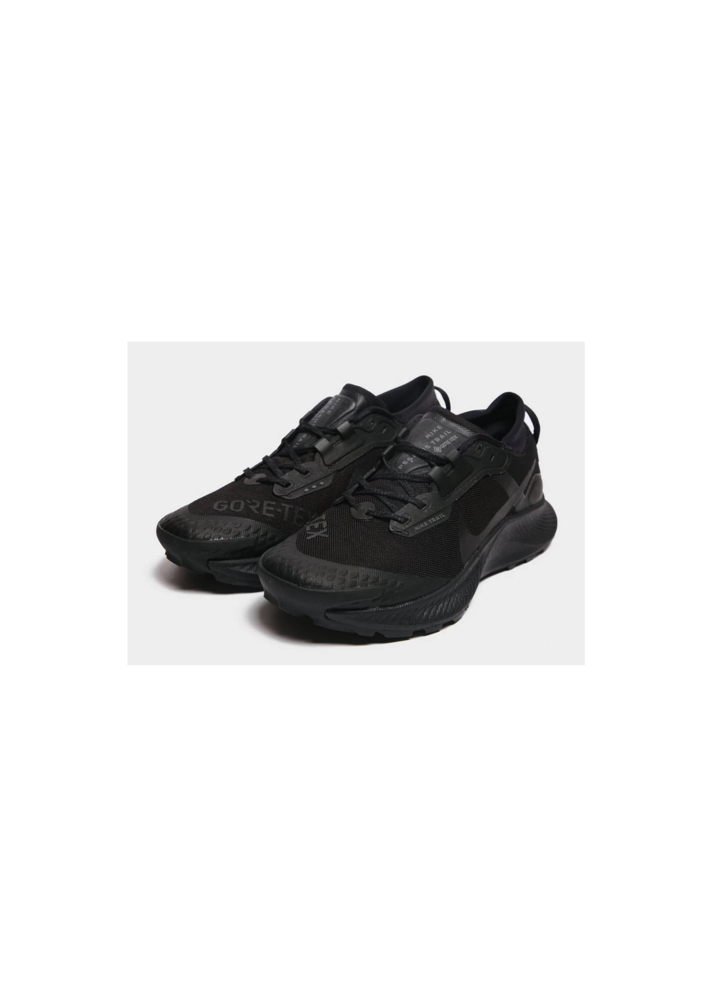 Baskets Nike Performance PEGASUS TRAIL 3 GTX