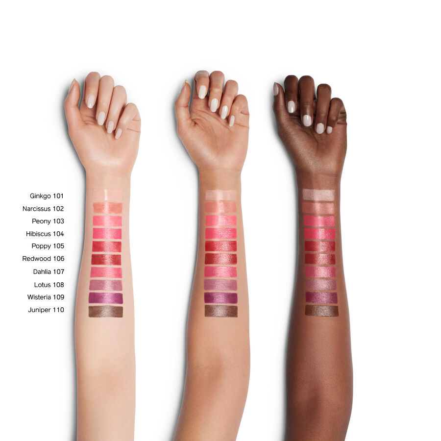 Shiseido ColorGel - Rouge à lèvres - teinte 102 - baume à lèvres