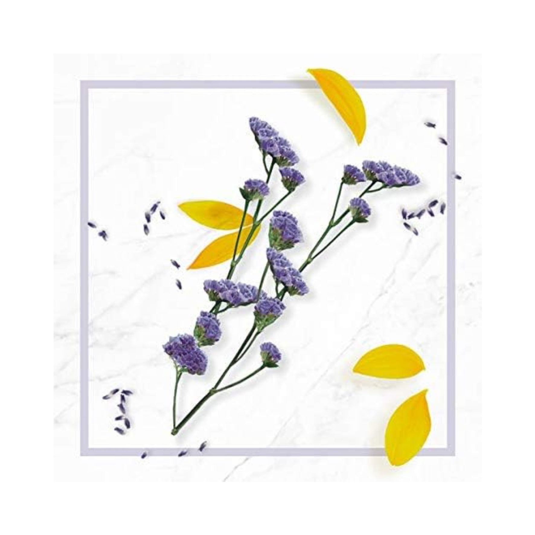 N.A.E. Crème Nuit Nourrissante Visage – Certifiée Bio - 50 ml - huile de tournesol bio et et extrait de fleurs d’immortelle bleue