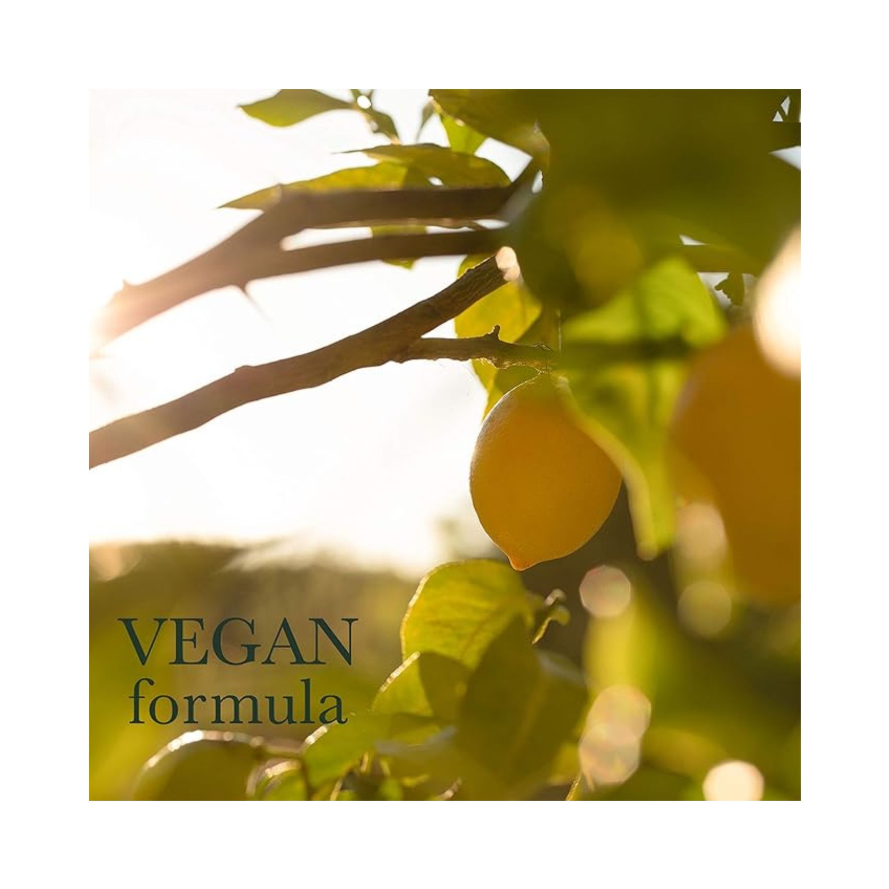 N.A.E. Eau Micellaire Purifiante Certifiée Bio – Nettoyant & Démaquillant visage et yeux