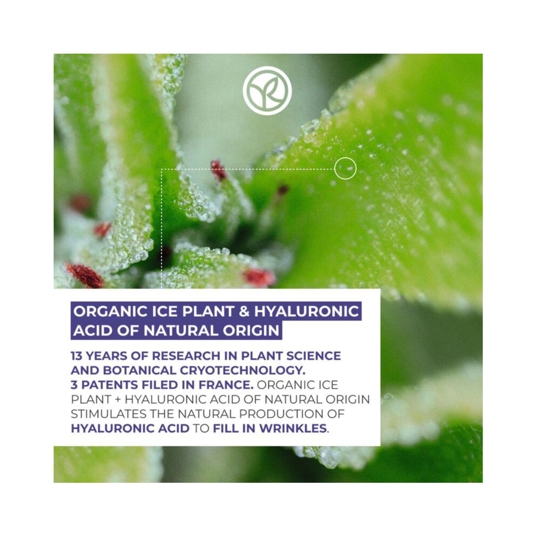 Yves Rocher - Filler végétal - Sérum Anti-Rides Repulpant Végétal Suralimenté 30 ml