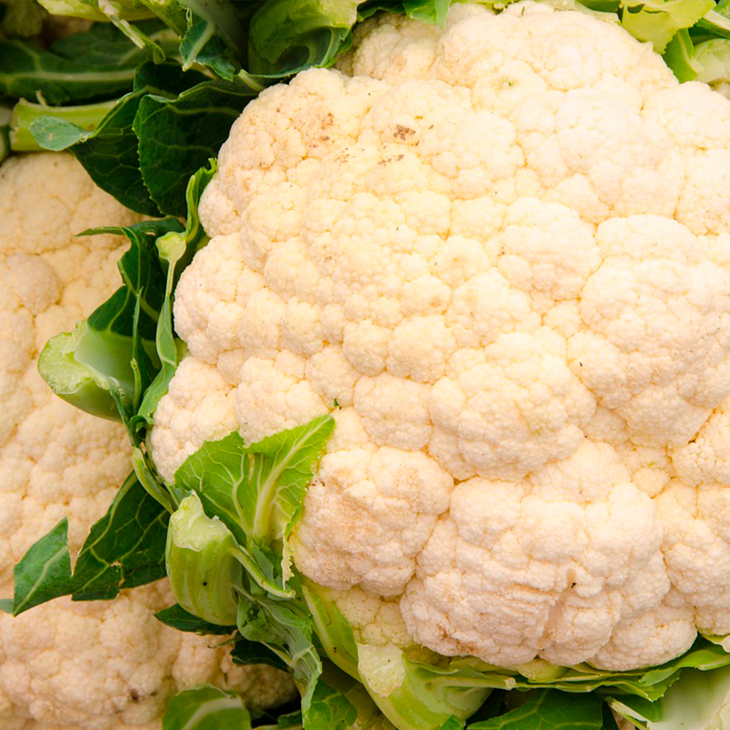 Semillas Coliflor Sobre 1g