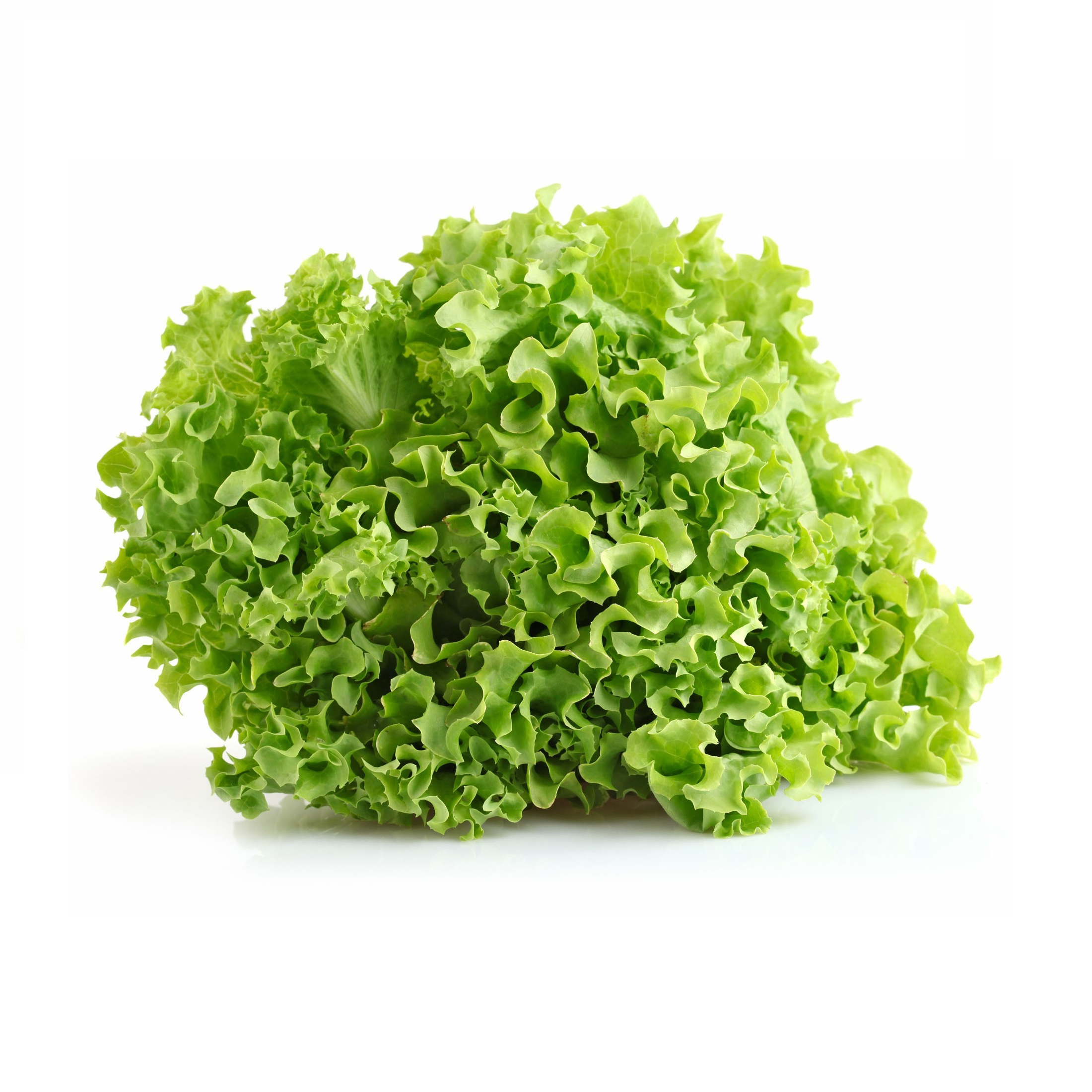 Semillas Lechuga Crespa Sobre 4g