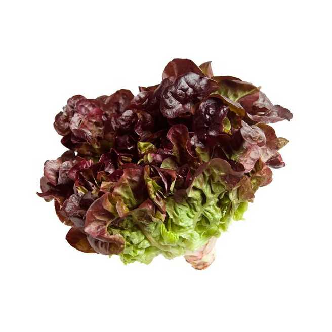 Semillas Lechuga Morada Sobre 4g