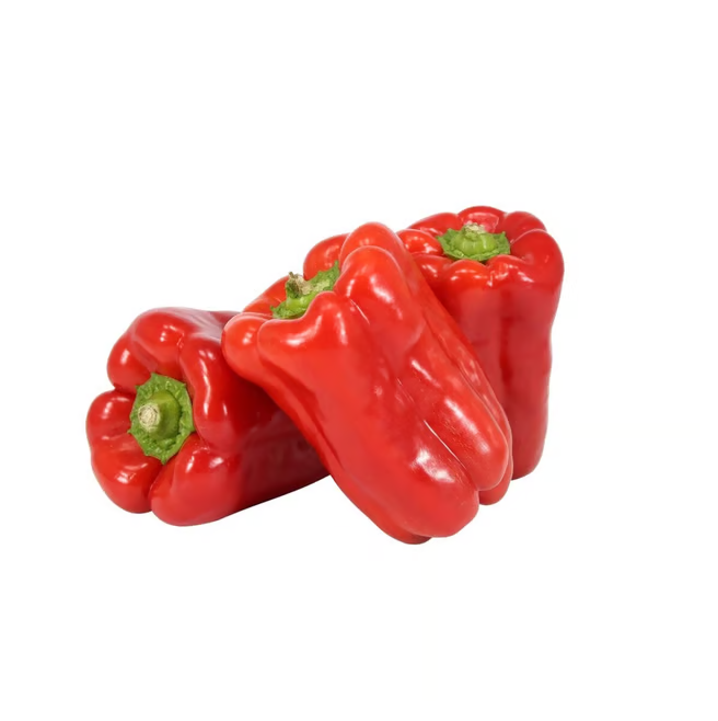 Semillas Morrón Rojo Sobre 1g