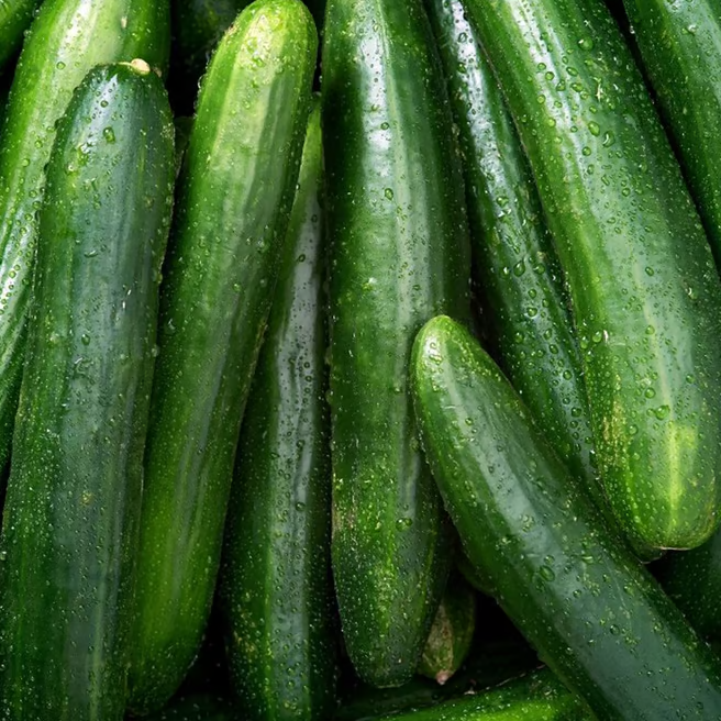 Semillas Pepino Sobre 3g