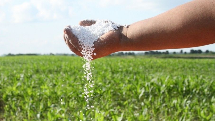 Urea 1k