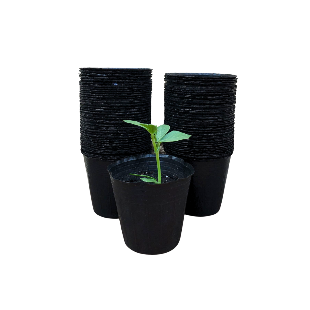 Macetas Descartables Para Vivero 