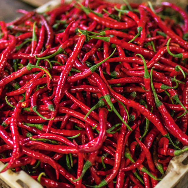Semillas Pimiento De Cayena Sobre g