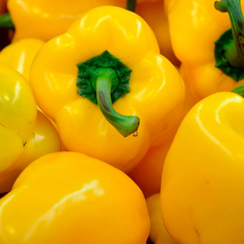 Semillas Morrón Amarillo Sobre 1g