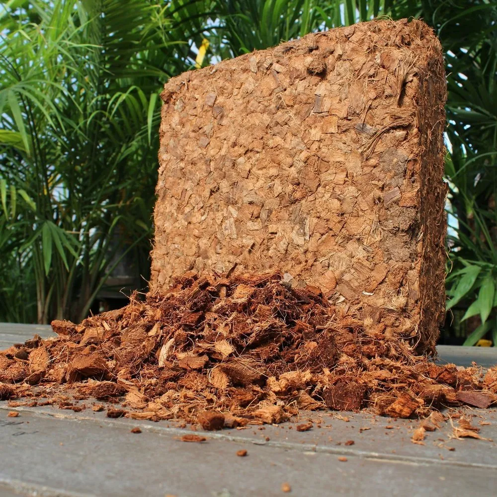 Chips De Coco 