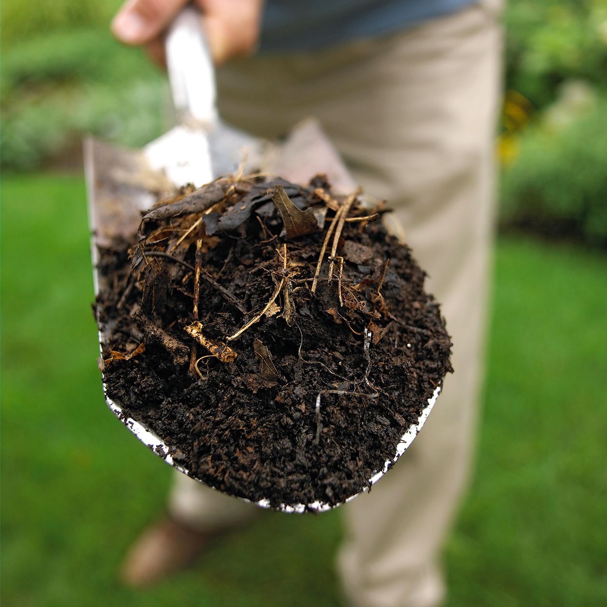 Compost Orgánico
