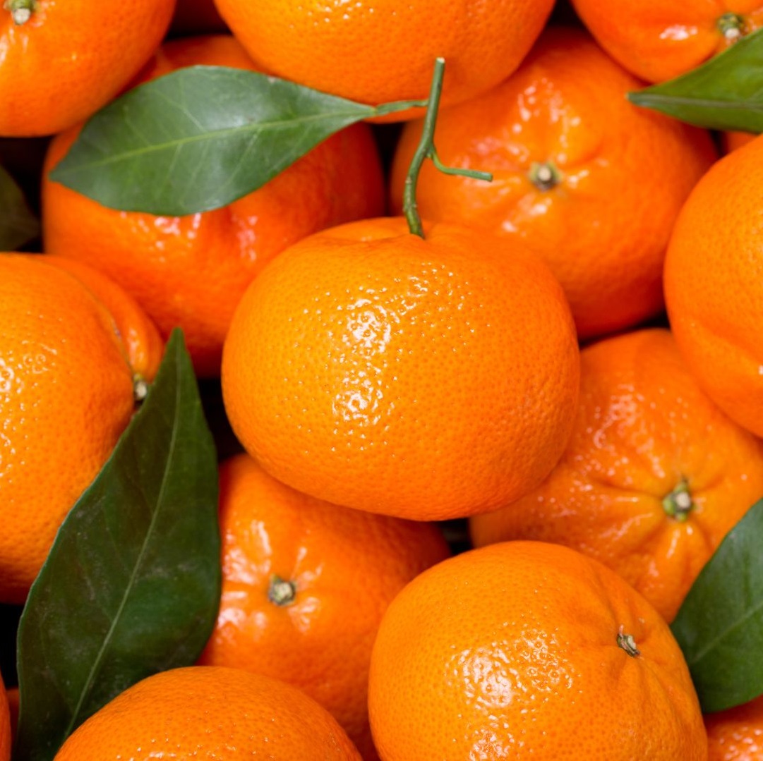 Árboles Frutales 
