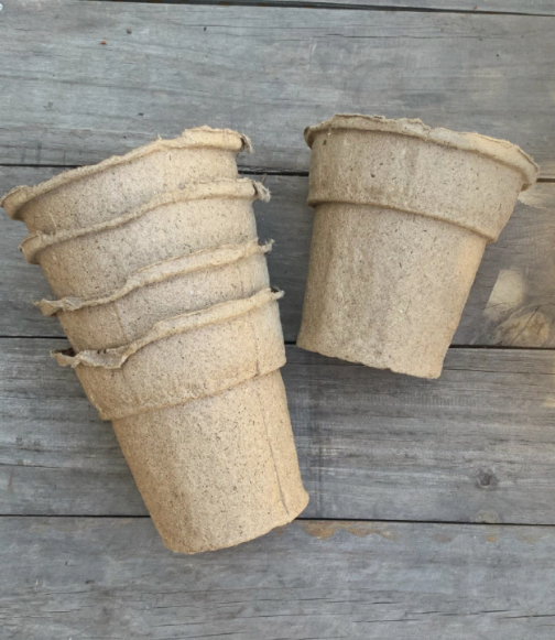 Maceta Biodegradable Cónica 