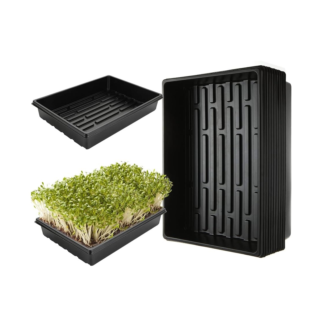 Bandeja Forrajera Para Germinados O Para Hidroponia