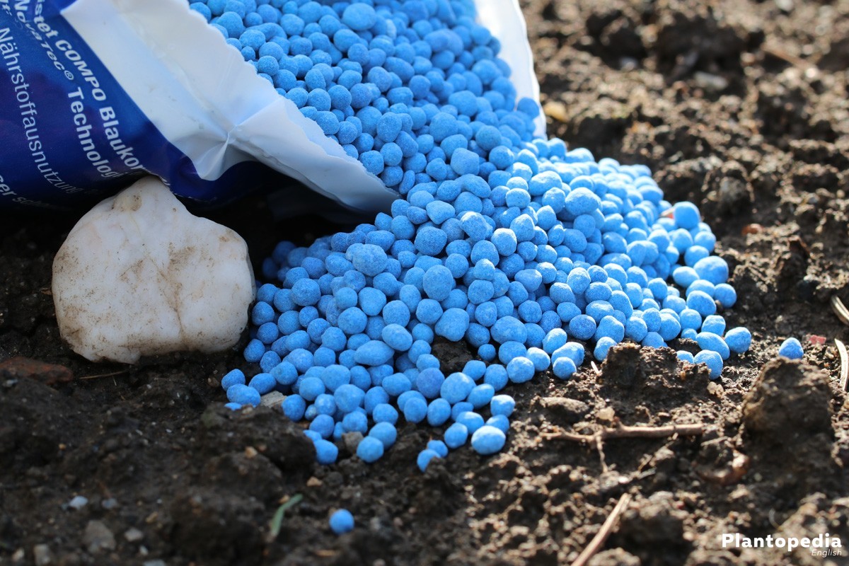 Fertilizante NPK+M 12-8-16(+3+TE) Blaukorn Classic Granulado 