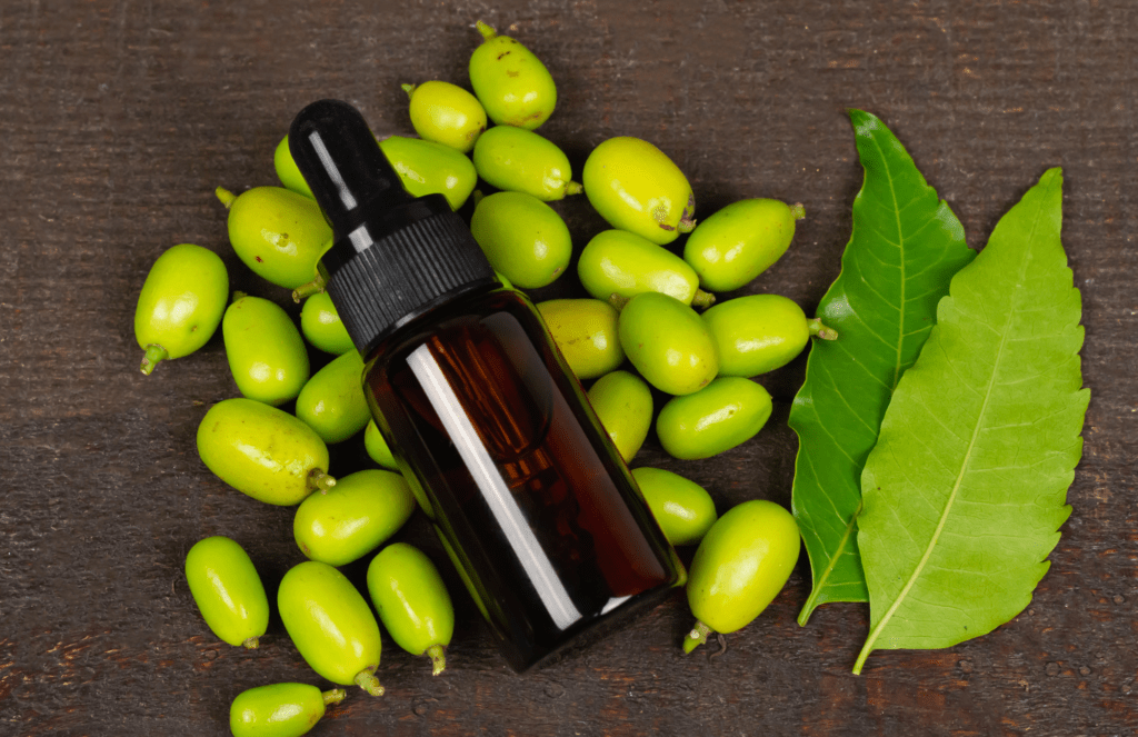 Aceite De Neem Concentrado 100ml