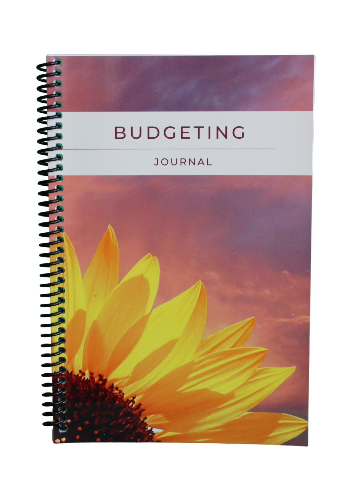3 Month Budget Planner