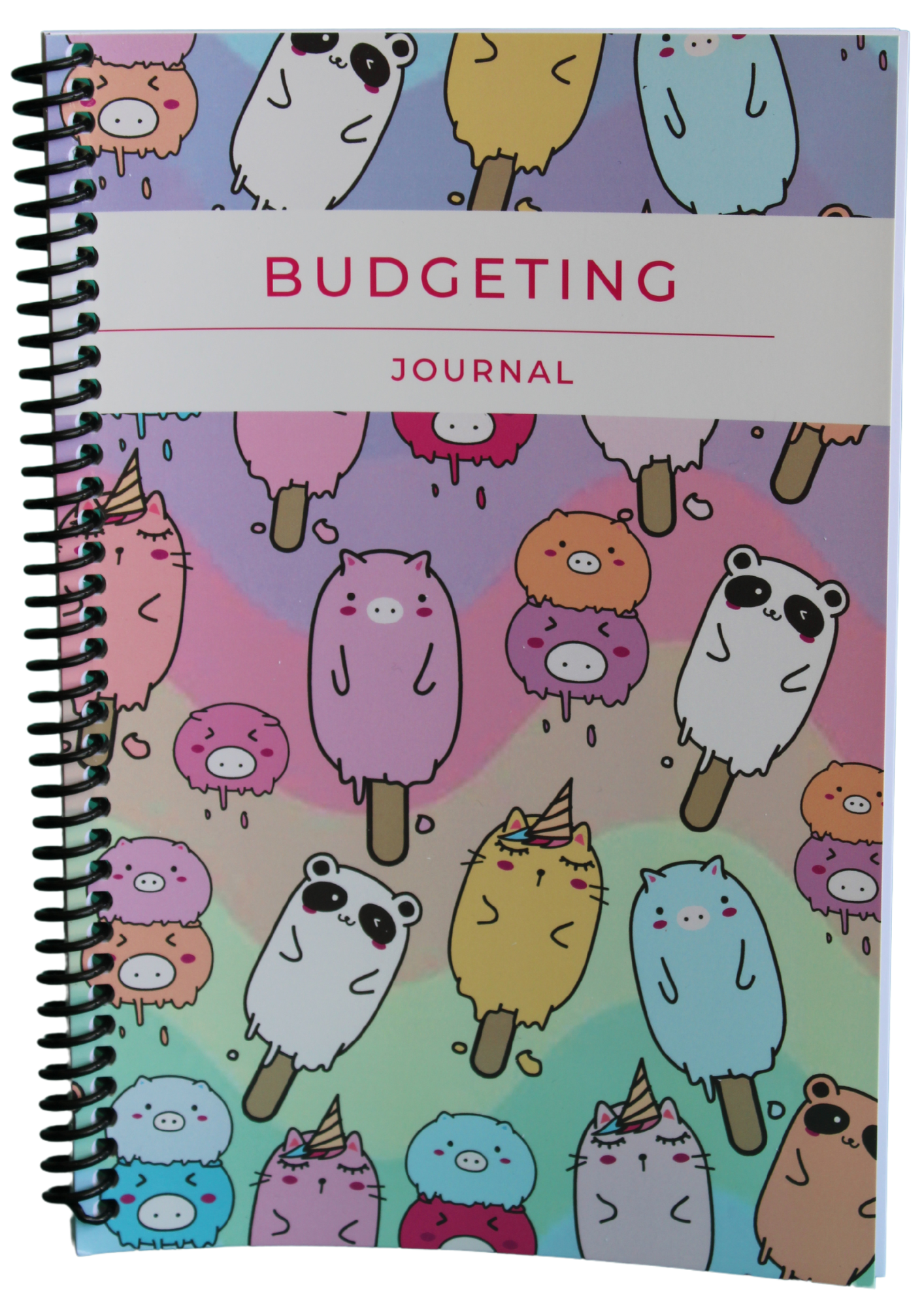 3 Month Budget Planner