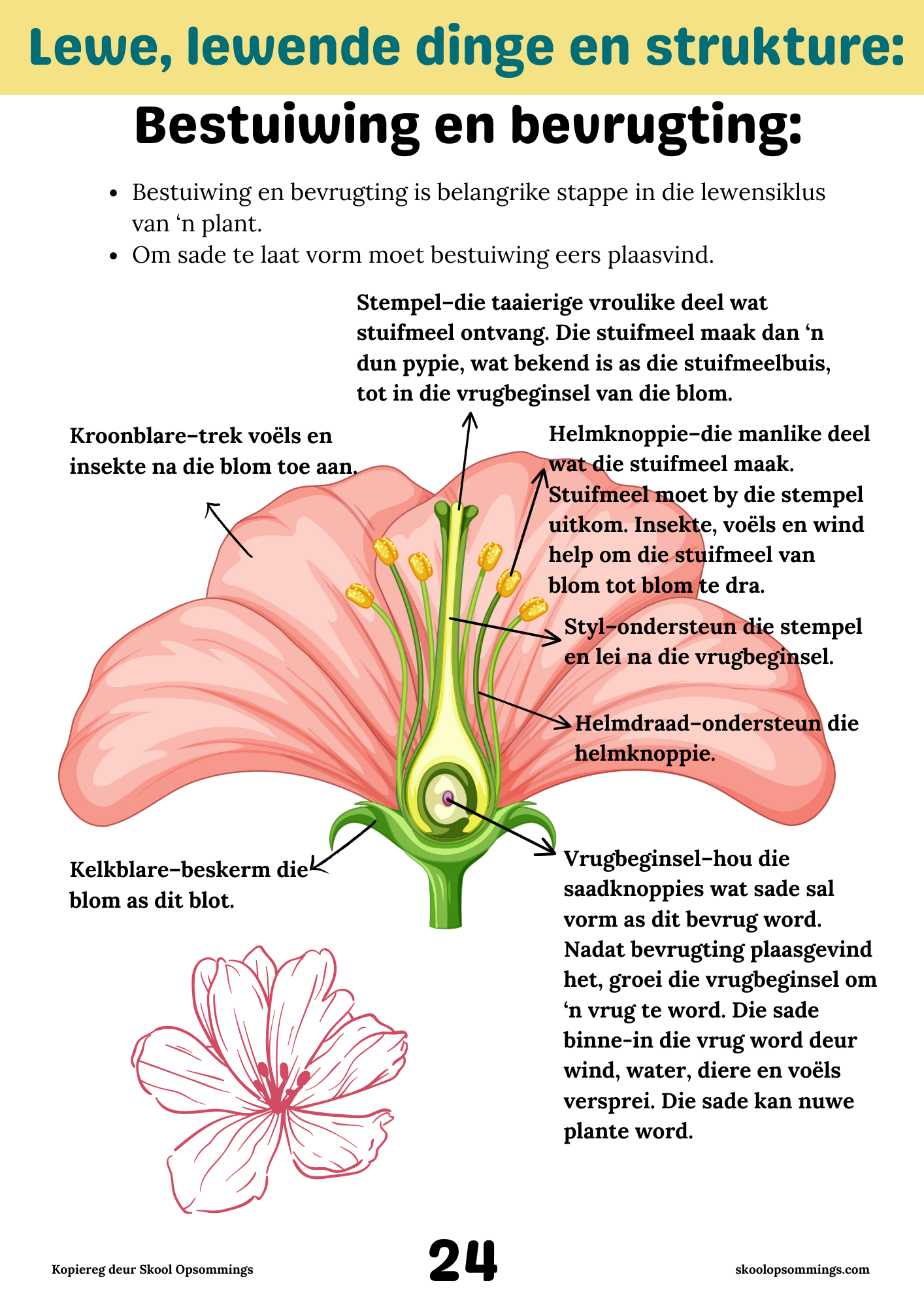 Natuurwetenskappe en Tegnologie KW1-2 GR5 - Boekie
