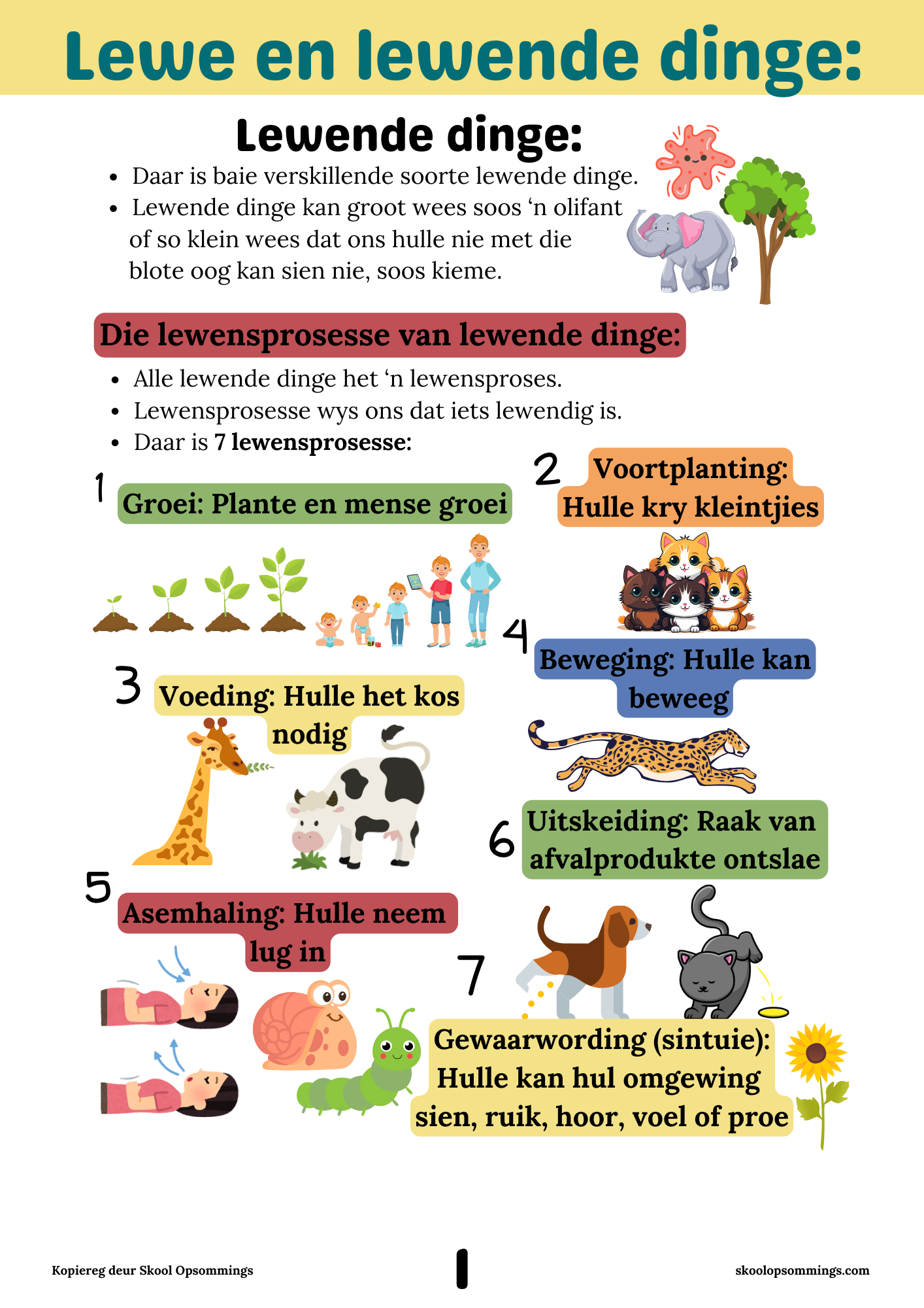 Natuurwetenskappe GR4 - Boekie