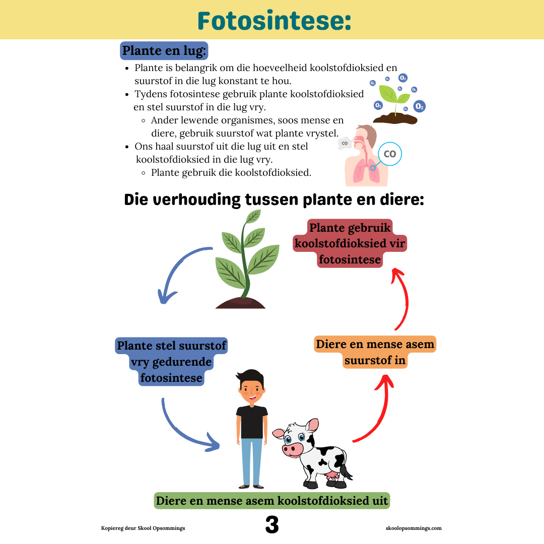 Natuurwetenskappe en Tegnologie KW1-2 GR5 - Boekie