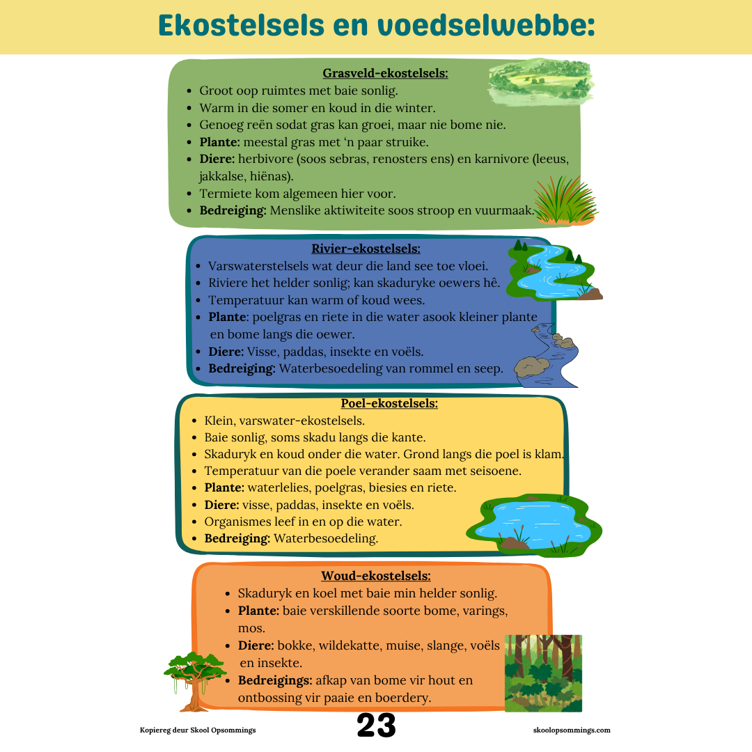 Natuurwetenskappe en Tegnologie KW1-2 GR5 - Boekie