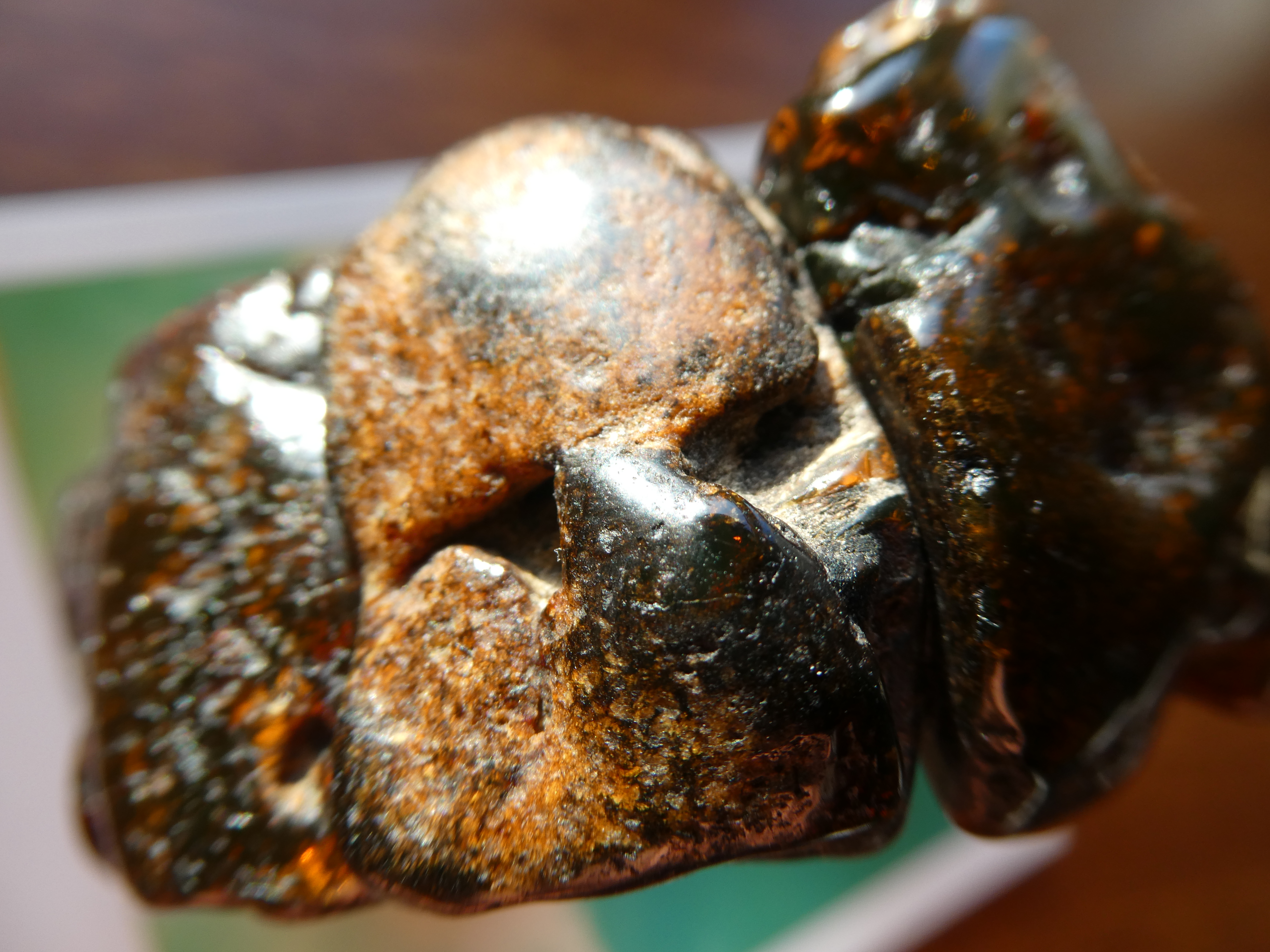 ANCIENT FACES Shamanic Rough Dark Amber Bracelet