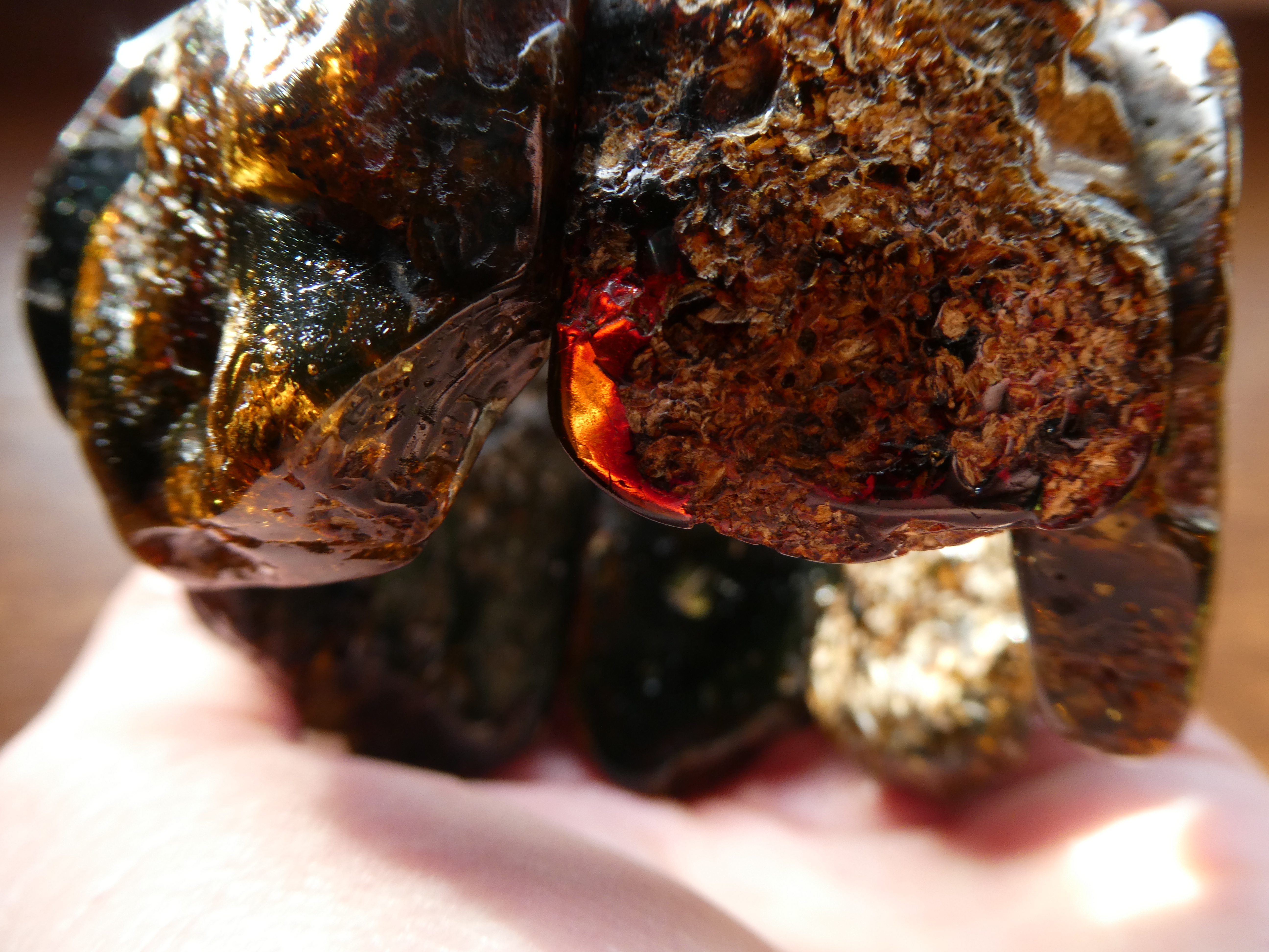 QUEENDOM Incredible Gorgeous MASSIVE Rough Baltic Amber Bracelet