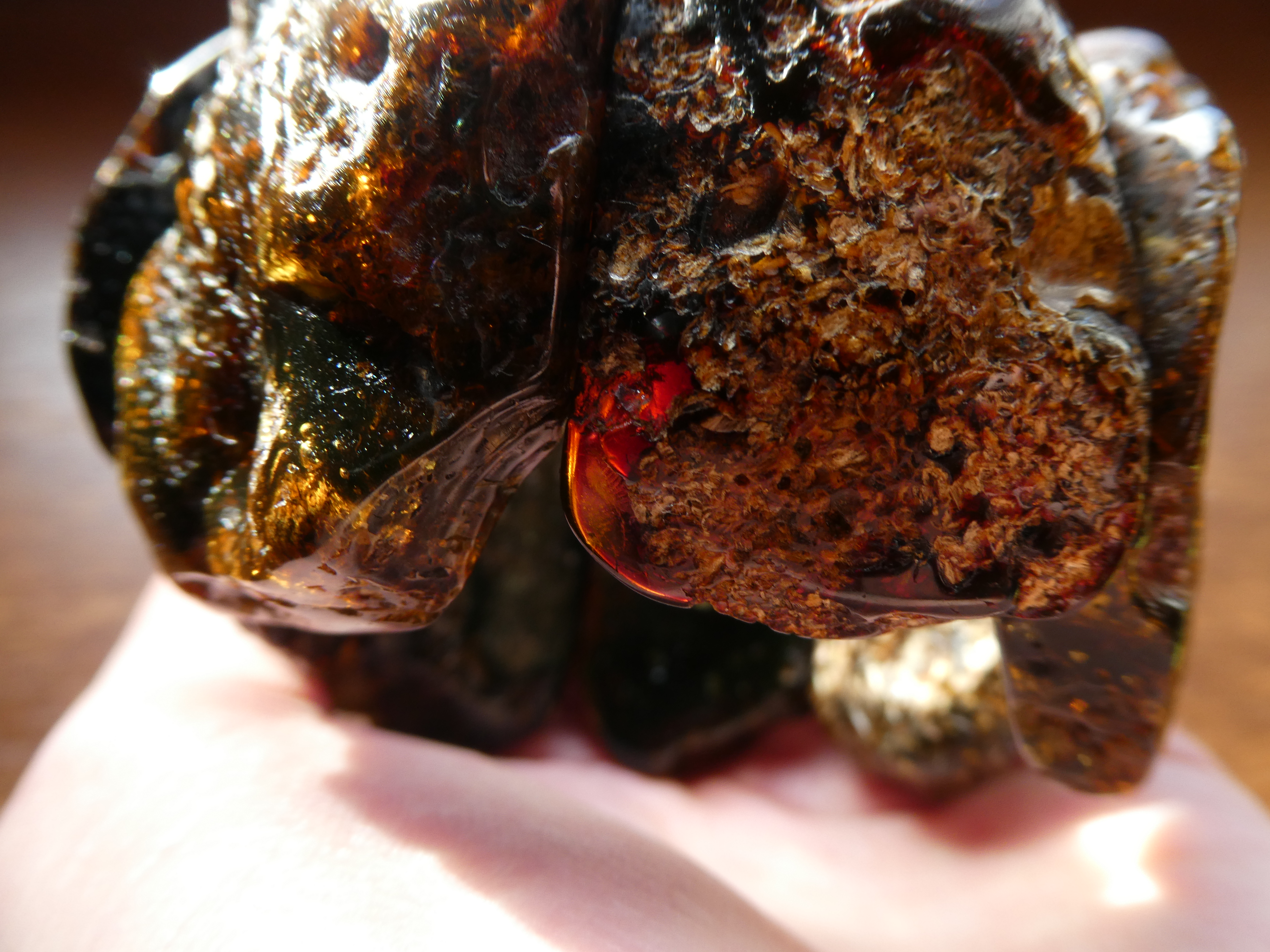 QUEENDOM Incredible Gorgeous MASSIVE Rough Baltic Amber Bracelet