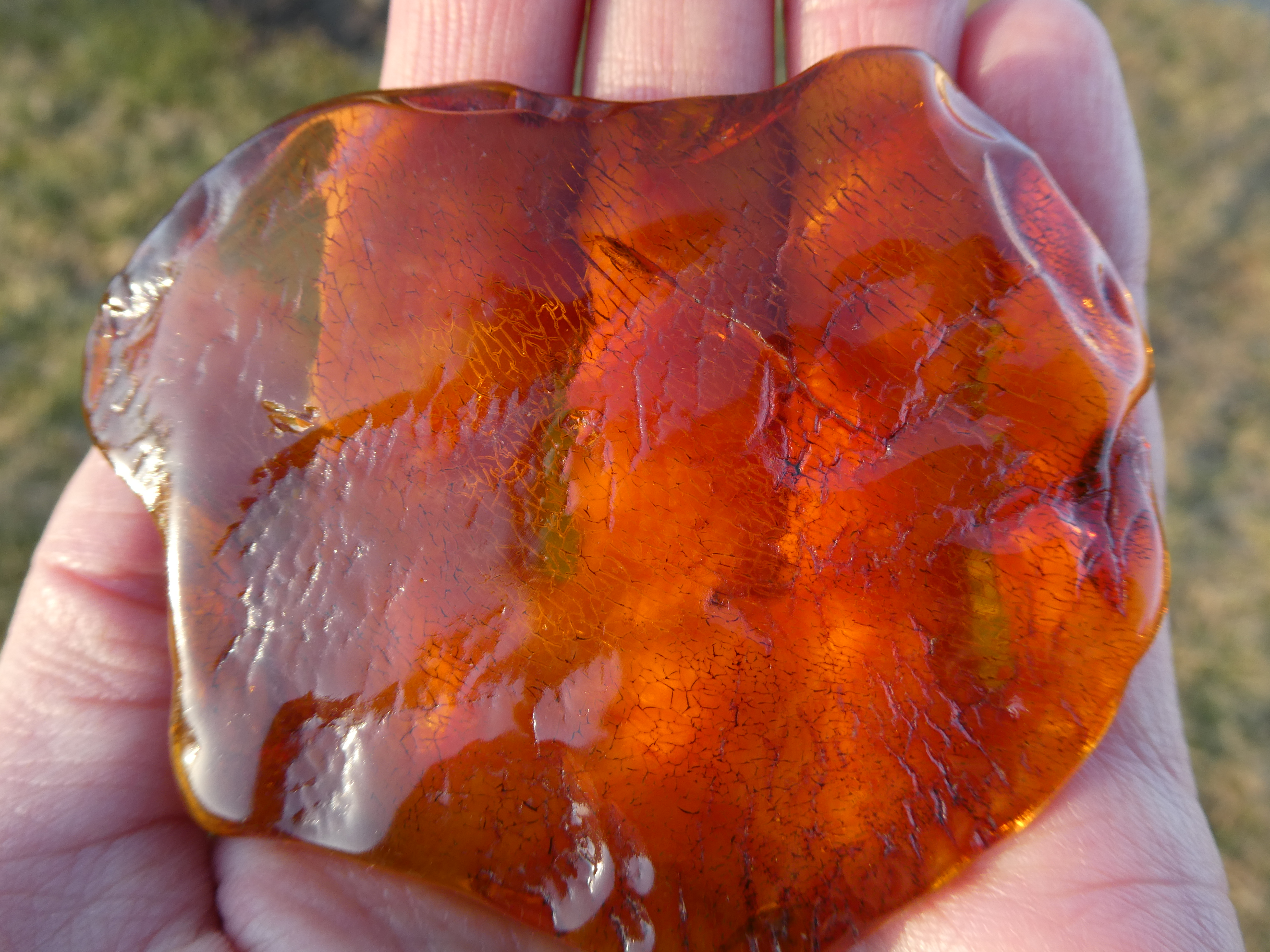 GLOWING TRANSLUCENT RAdiant HONEY ORANGE BALTIC AMBER SOLAR BATTERY/ DISC