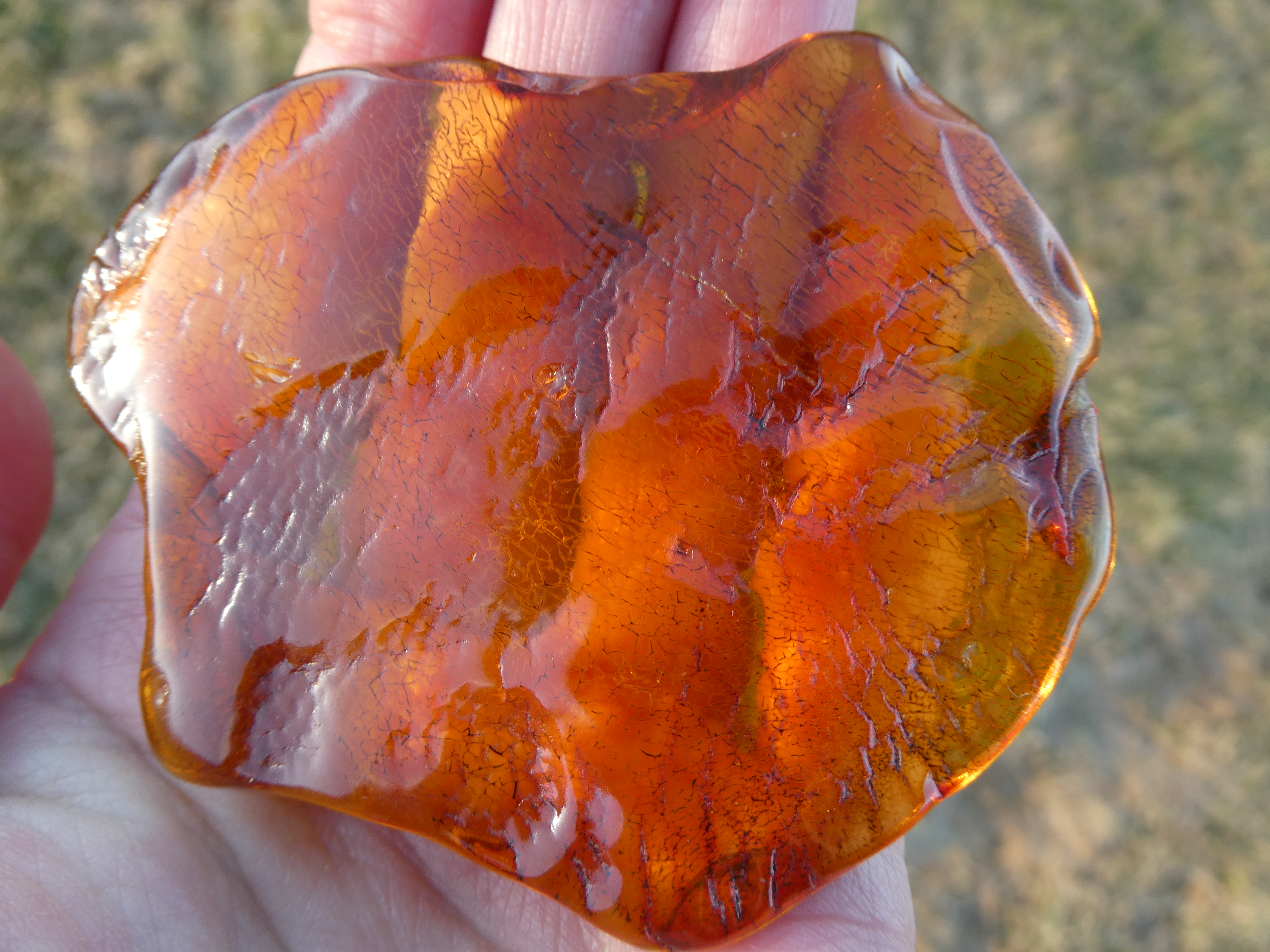 GLOWING TRANSLUCENT RAdiant HONEY ORANGE BALTIC AMBER SOLAR BATTERY/ DISC