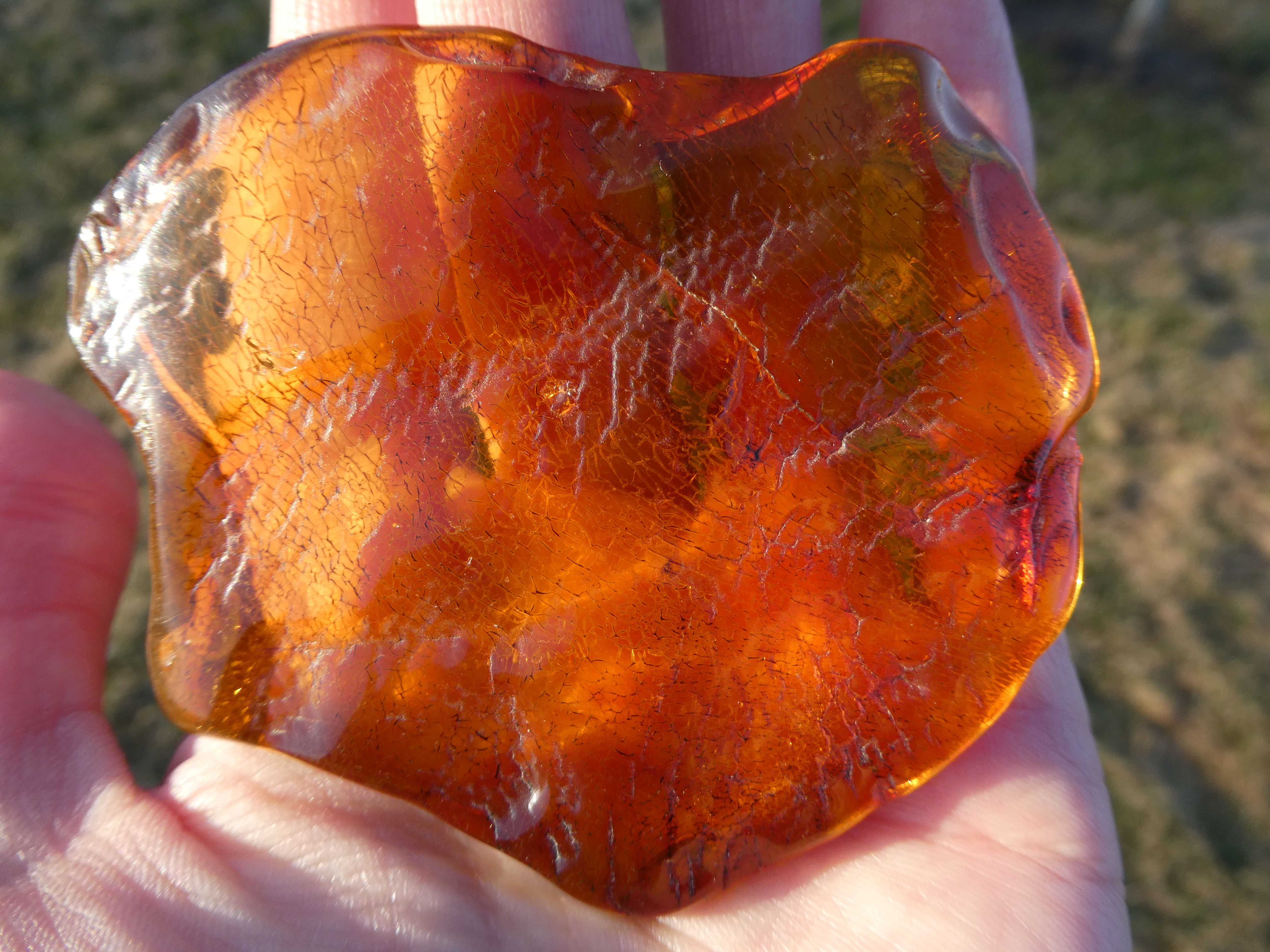 GLOWING TRANSLUCENT RAdiant HONEY ORANGE BALTIC AMBER SOLAR BATTERY/ DISC