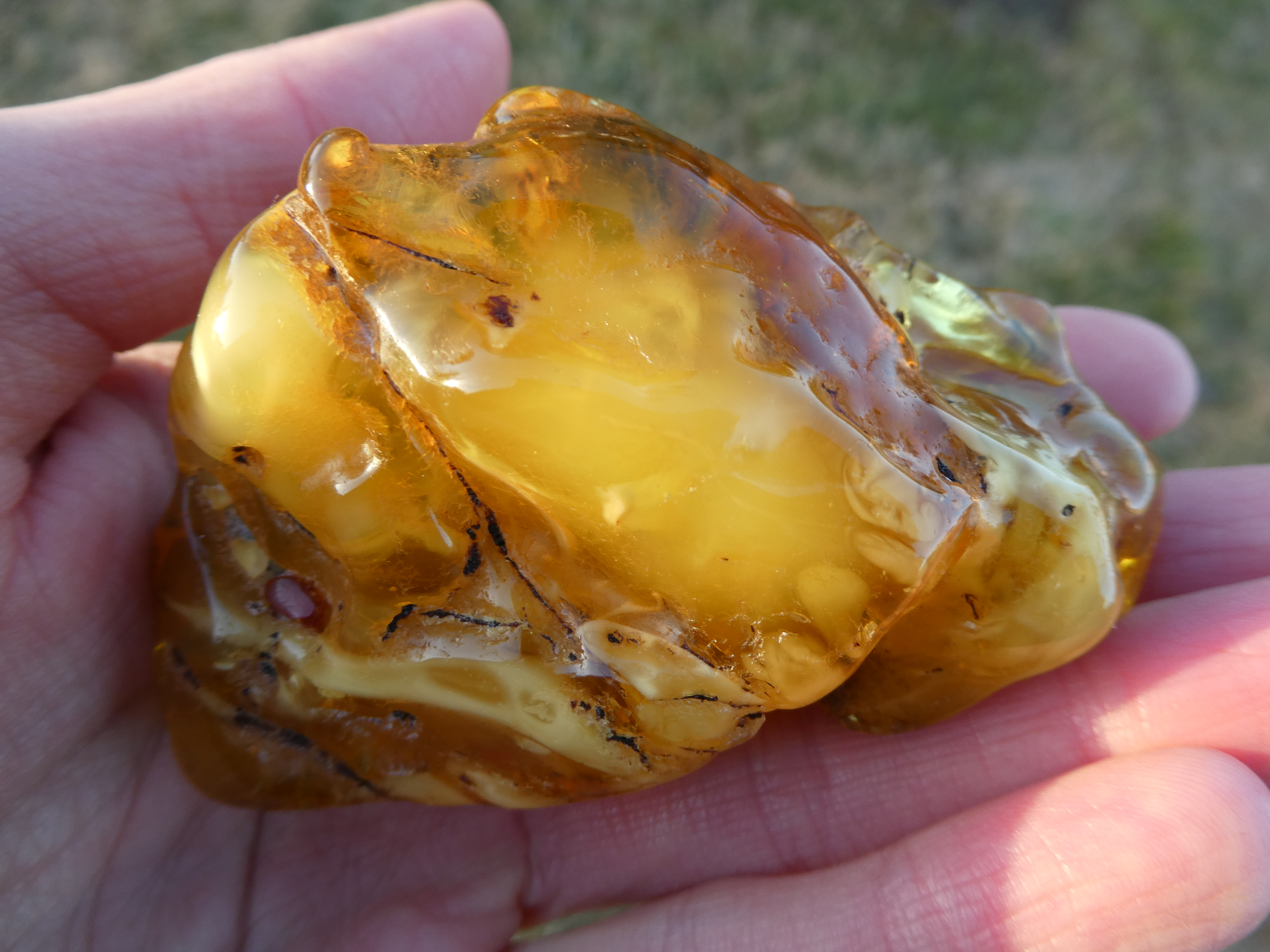 GLOWING & MILKY Honey-Yellow Baltic Amber With White Parts