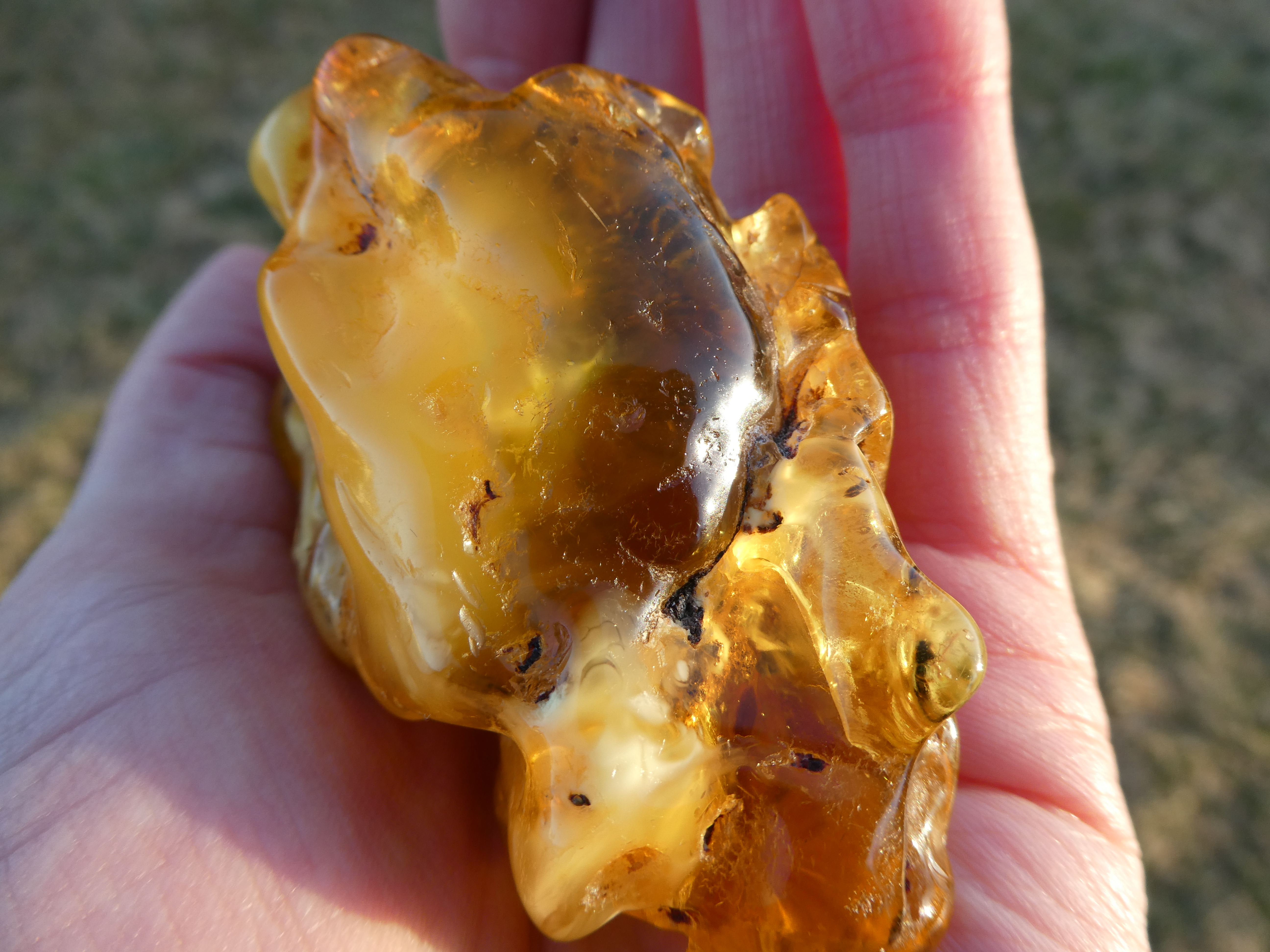GLOWING & MILKY Honey-Yellow Baltic Amber With White Parts