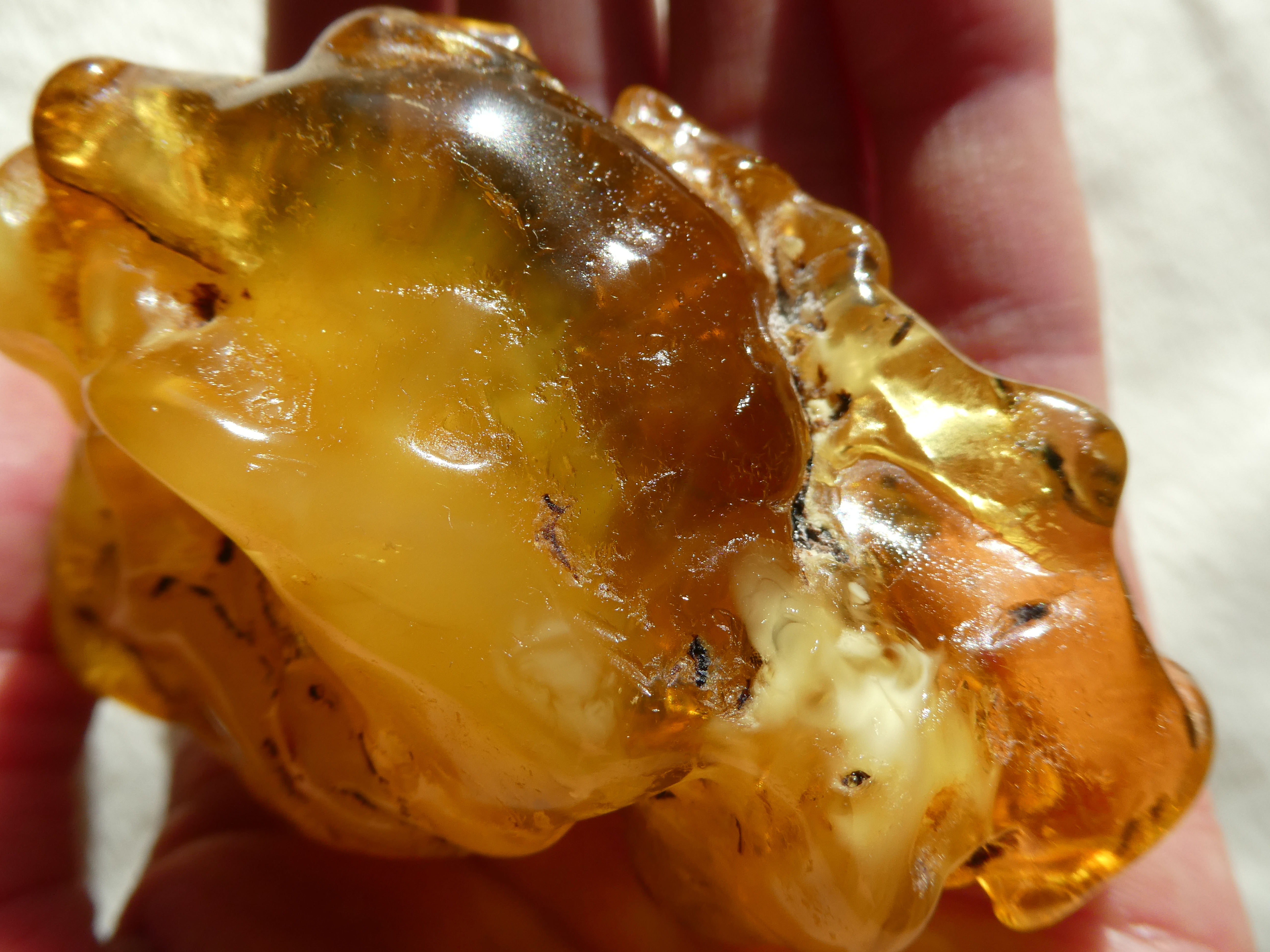 GLOWING & MILKY Honey-Yellow Baltic Amber With White Parts