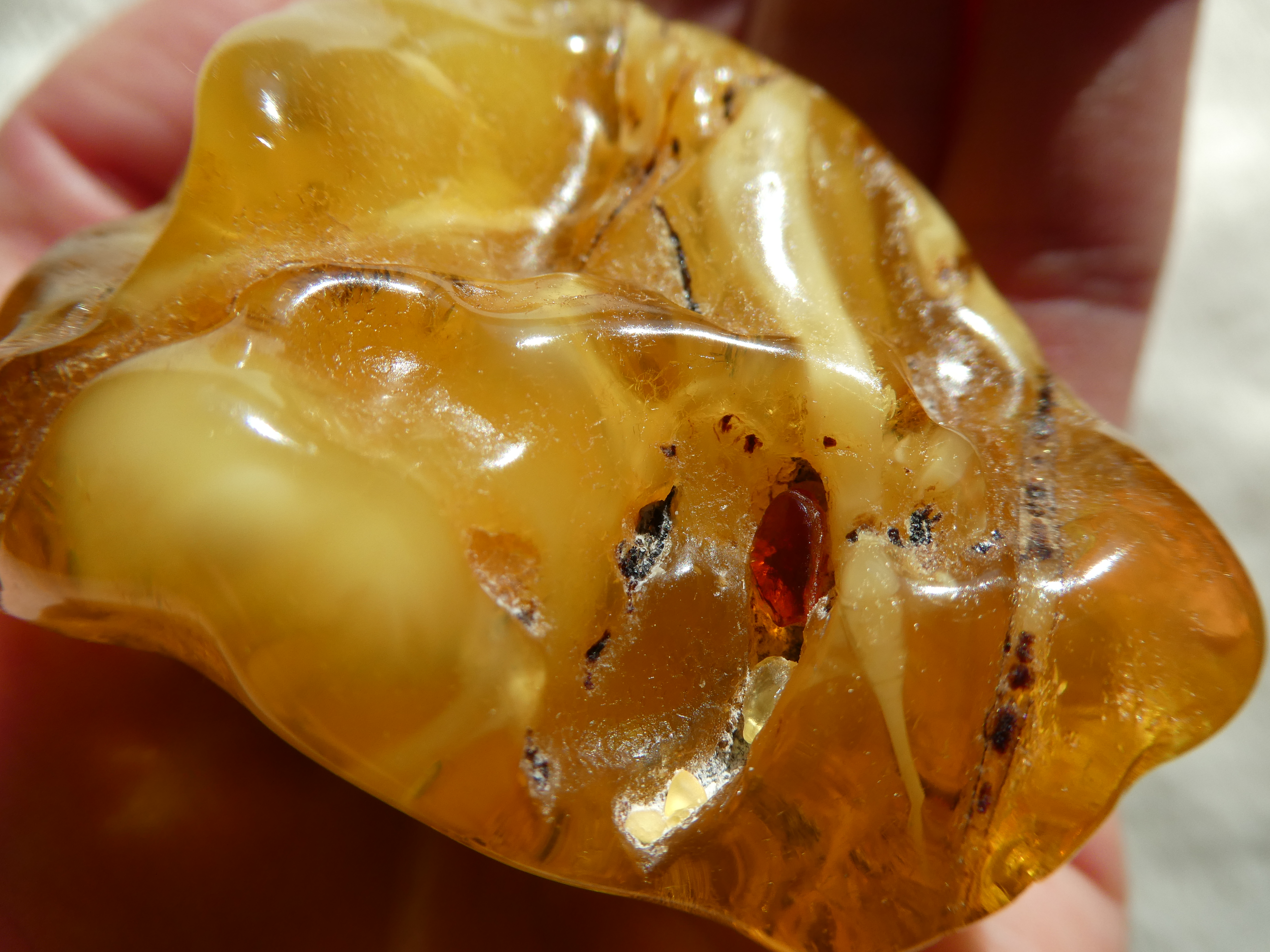 GLOWING & MILKY Honey-Yellow Baltic Amber With White Parts