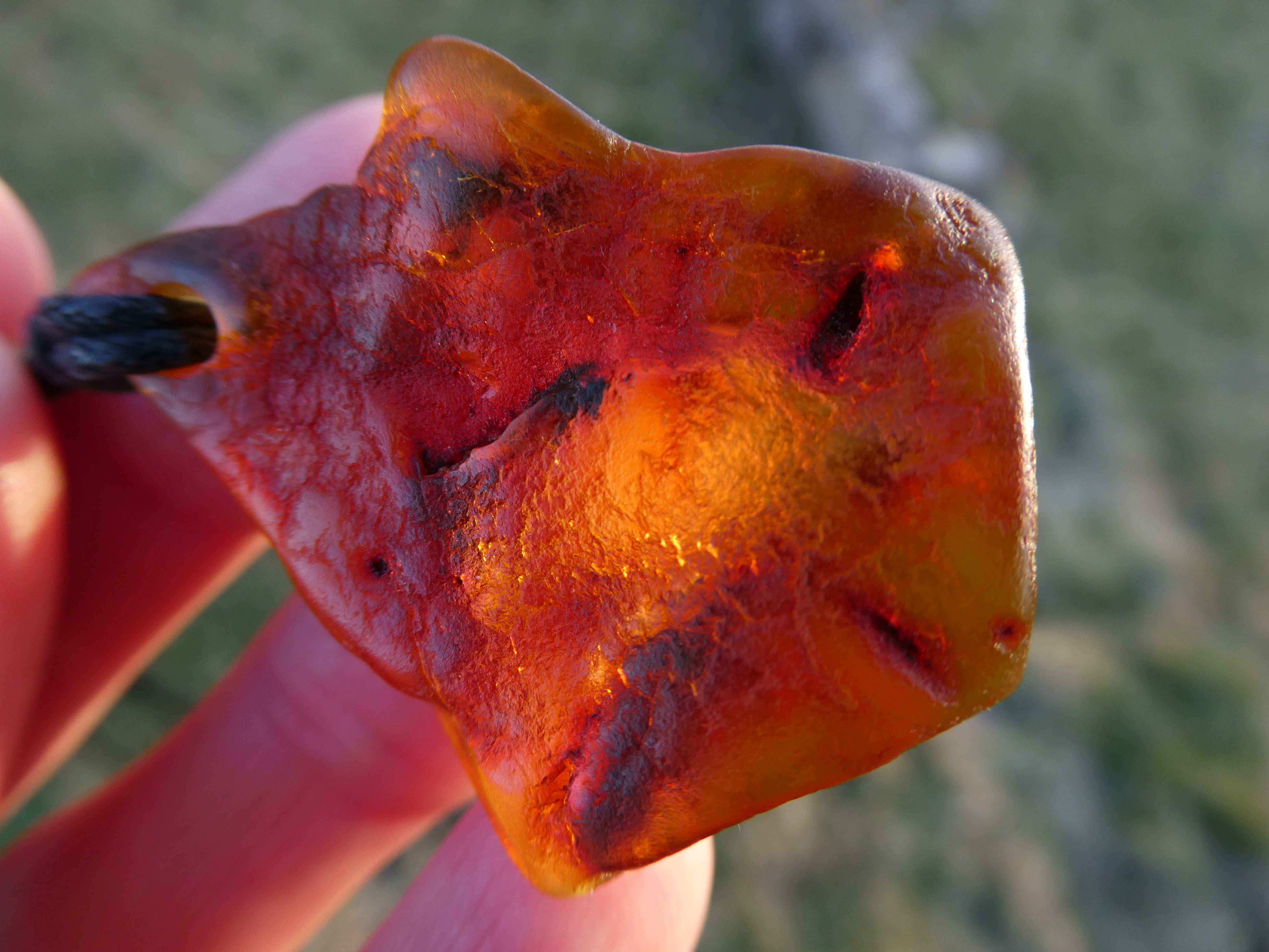 WARM HOUSE Gorgeous Vibrant Deep RED Color Genuine Baltic Amber Pendant