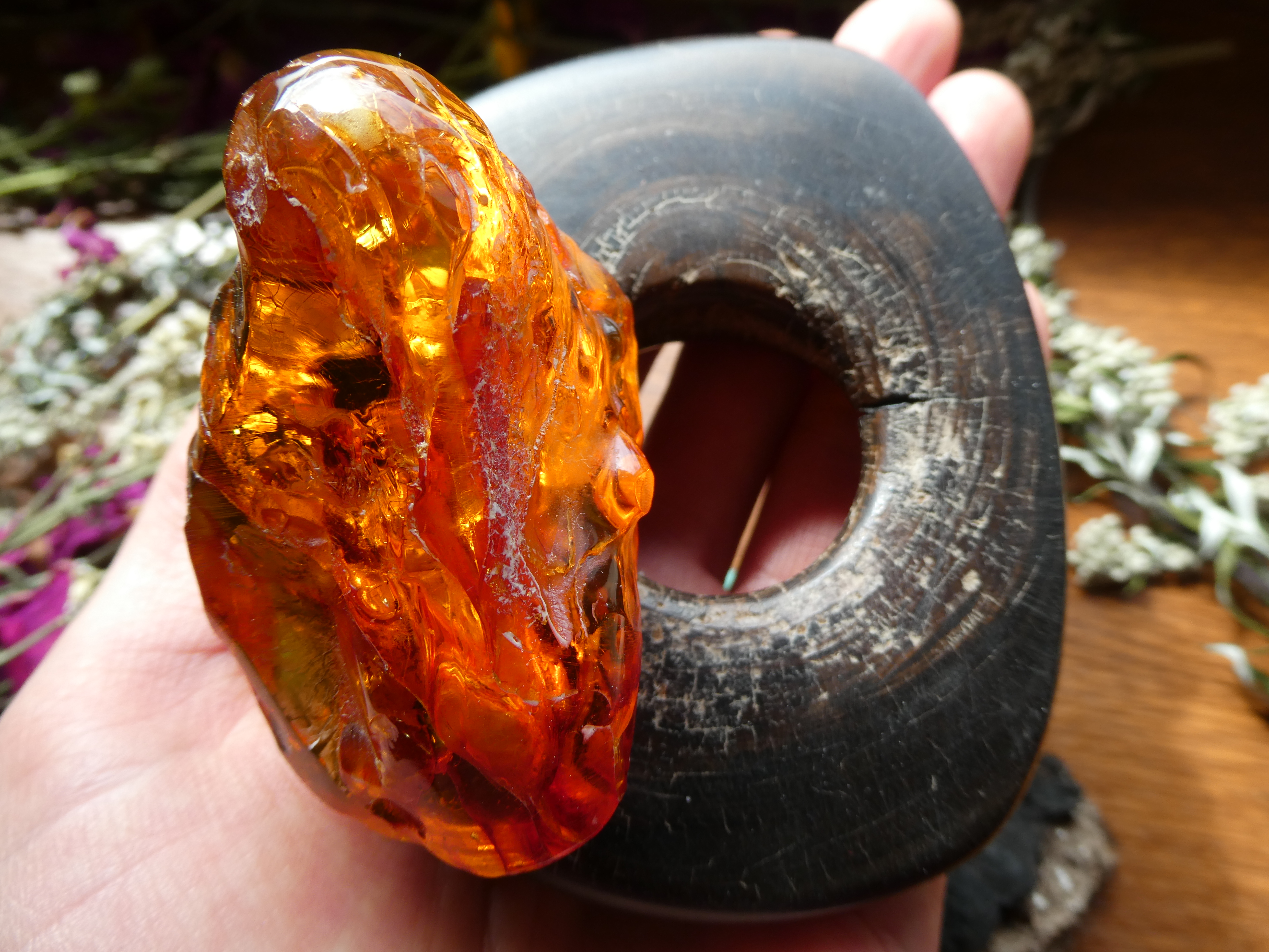 SEA OAK AND SUPER FIERY BALTIC AMBER/ AUTHENTIC HOME DECORATION/ AMBER COLLECTOR'S PIECE
