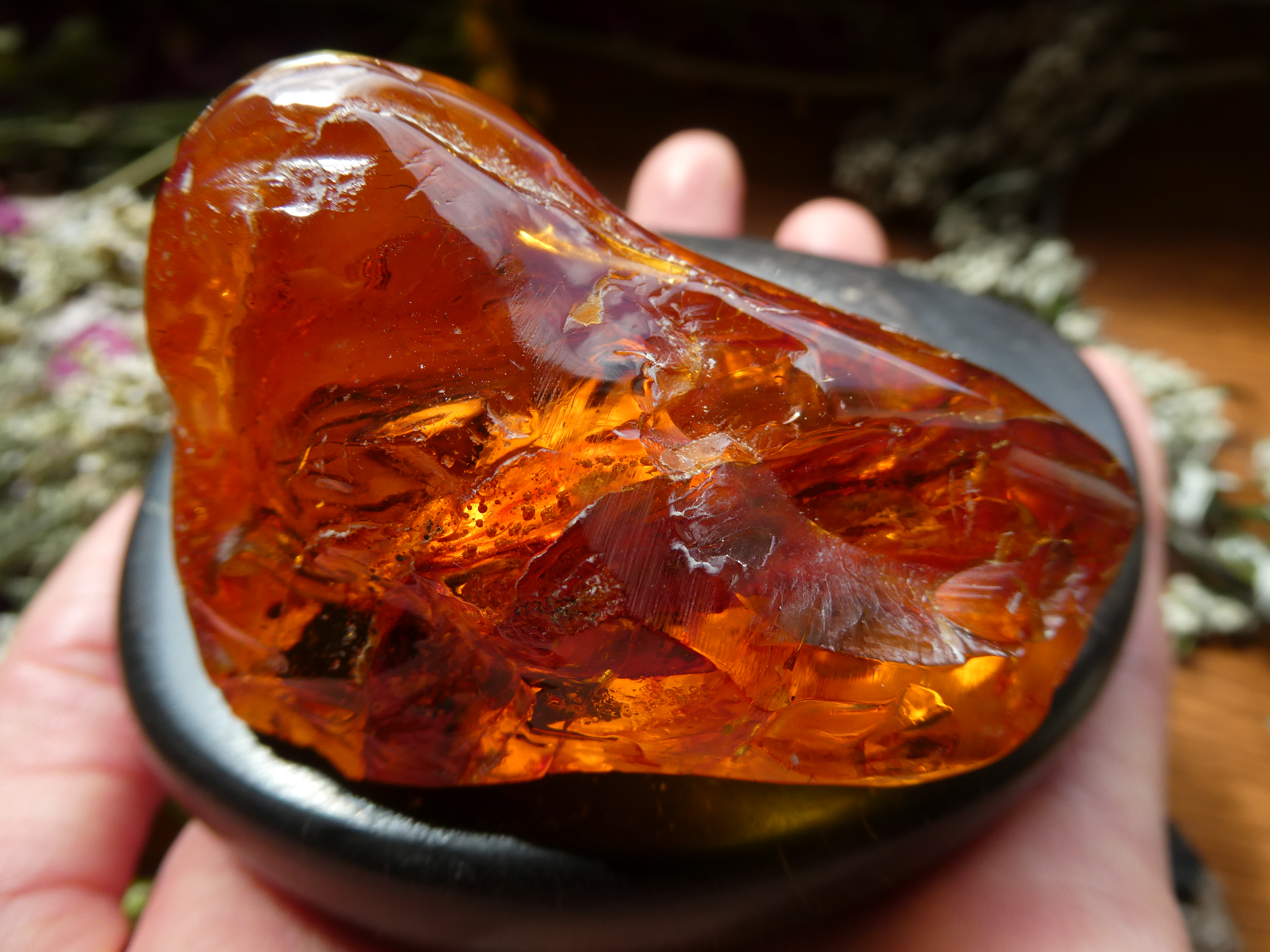 SEA OAK AND SUPER FIERY BALTIC AMBER/ AUTHENTIC HOME DECORATION/ AMBER COLLECTOR'S PIECE