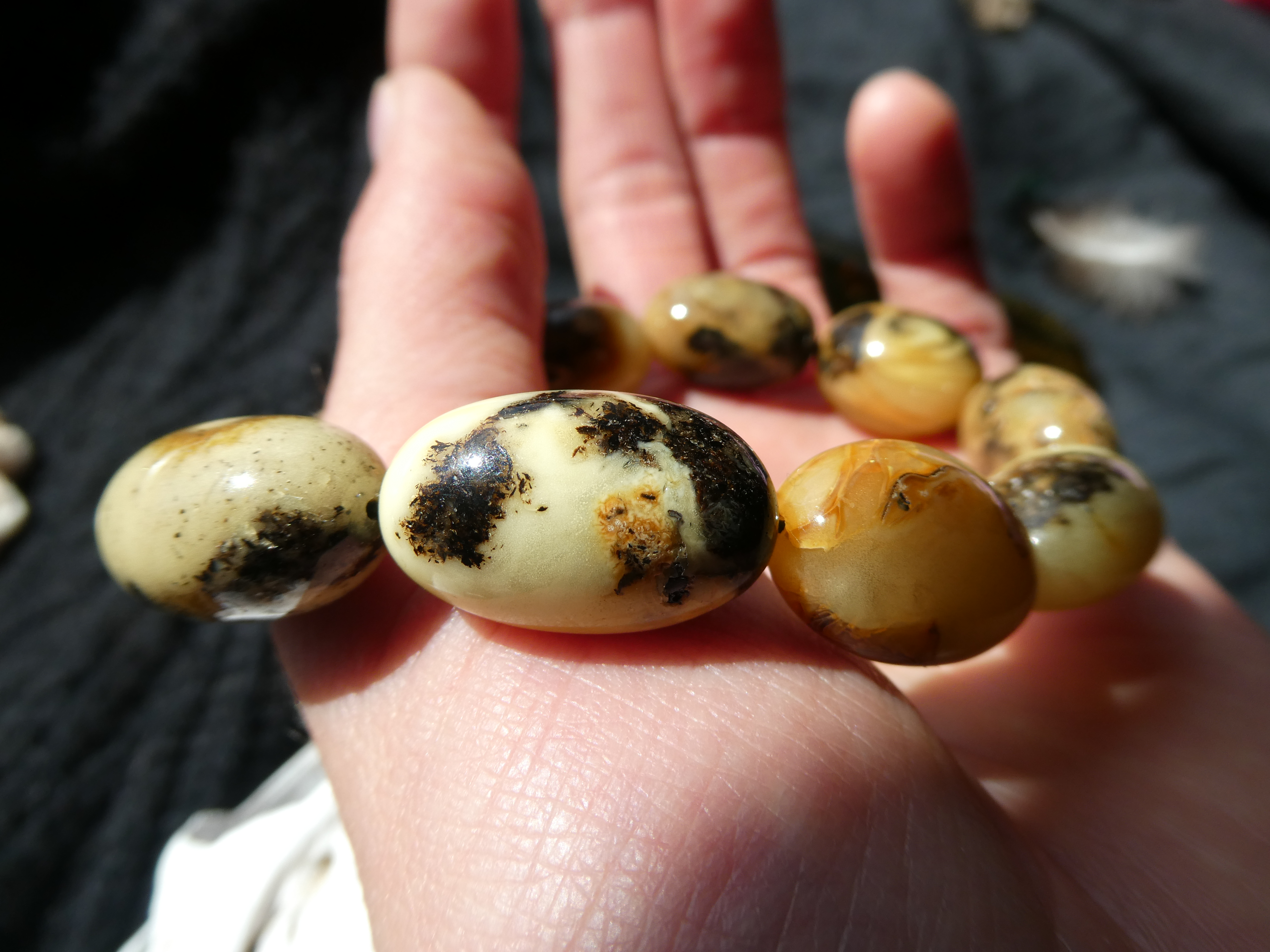 AMBER SHAMANS EXCLUSIVE Silk Touch Unique Polished Genuine Natural Colorful Baltic Amber Bracelet