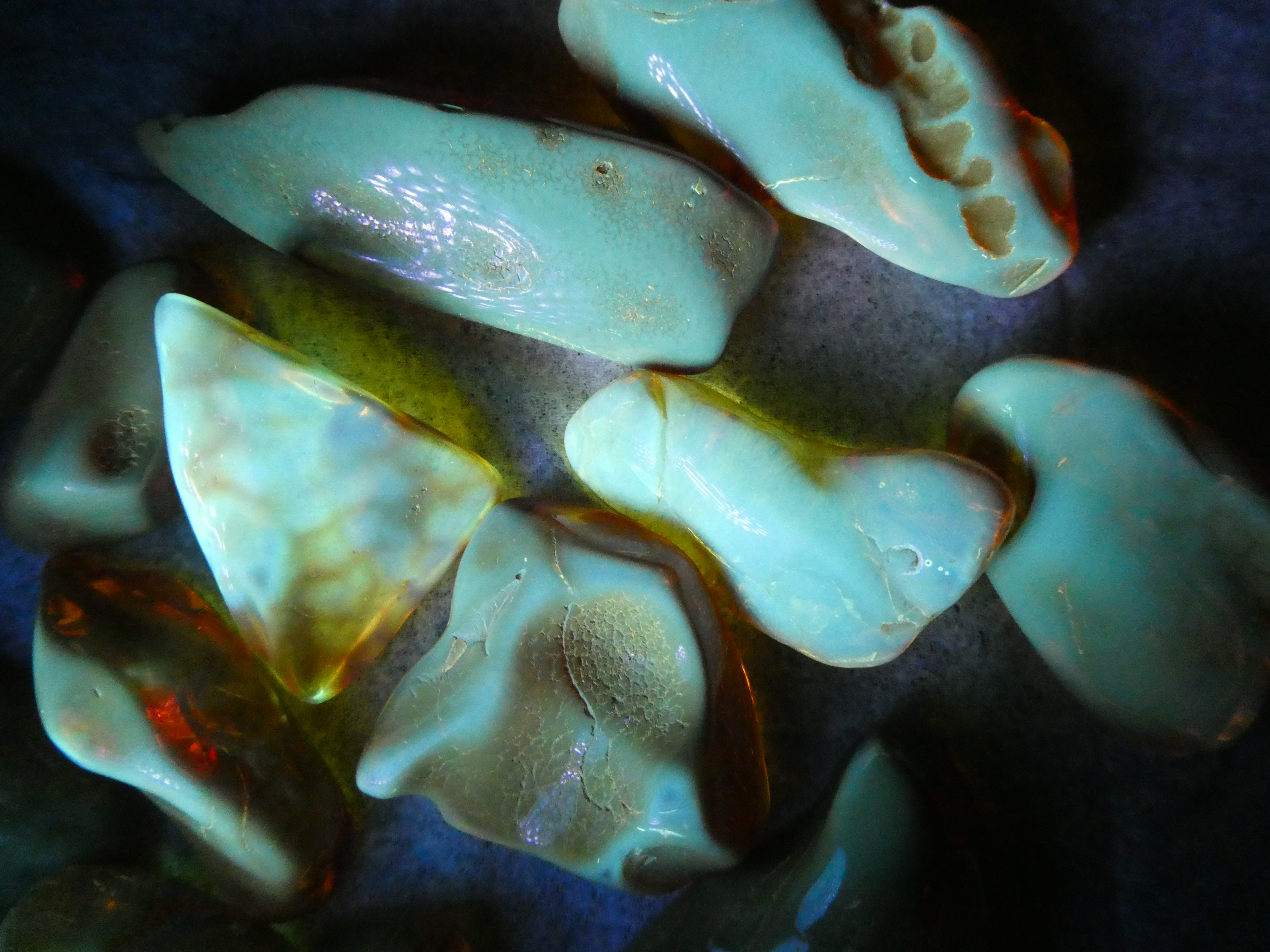 FIERY DOGTOOTH RADIANT RED BALTIC AMBER STONE 🔥🔥🧡❤ Natural Untreated Healer 🔥🔥🤎