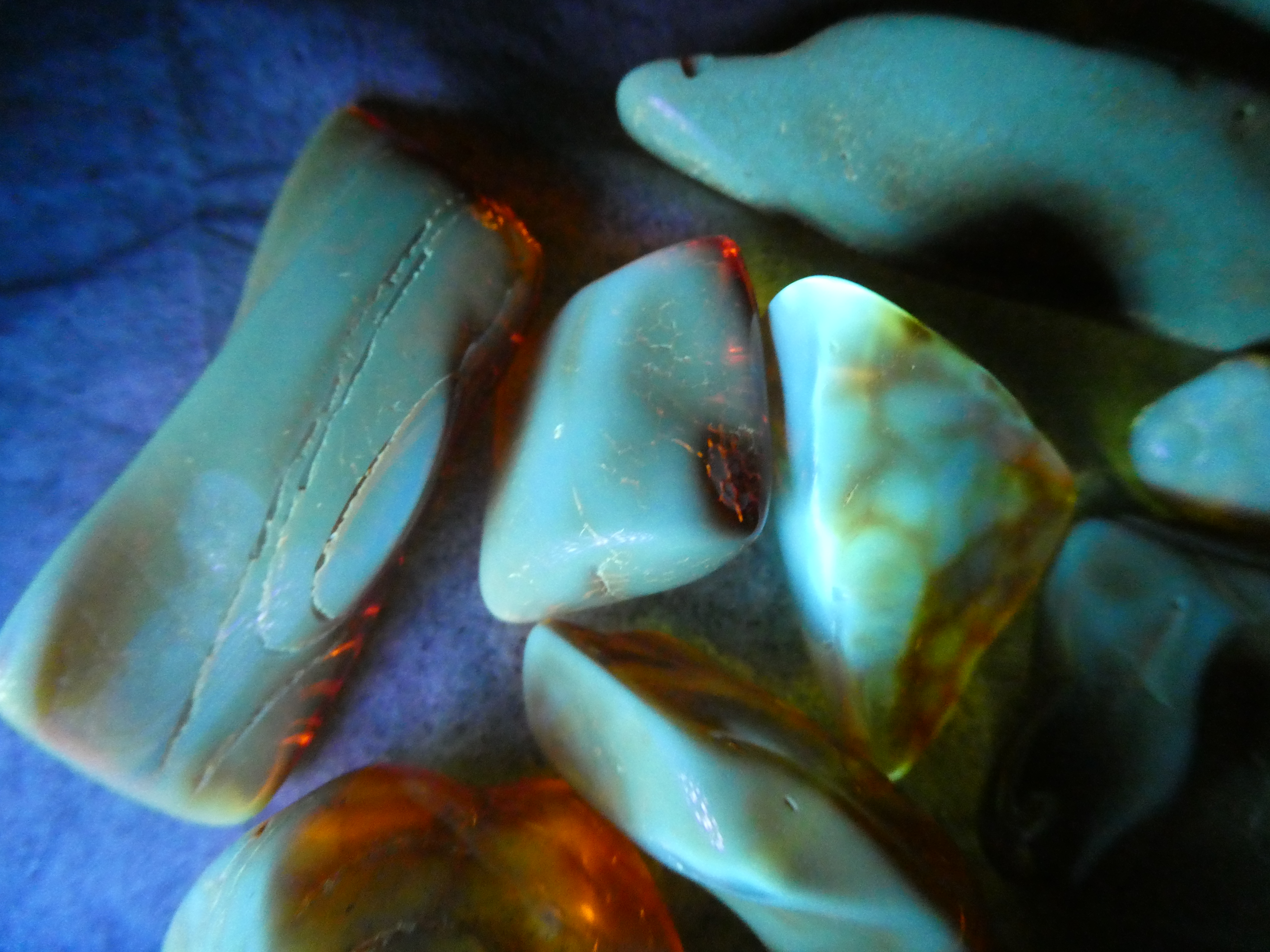 FIERY DOGTOOTH RADIANT RED BALTIC AMBER STONE 🔥🔥🧡❤ Natural Untreated Healer 🔥🔥🤎