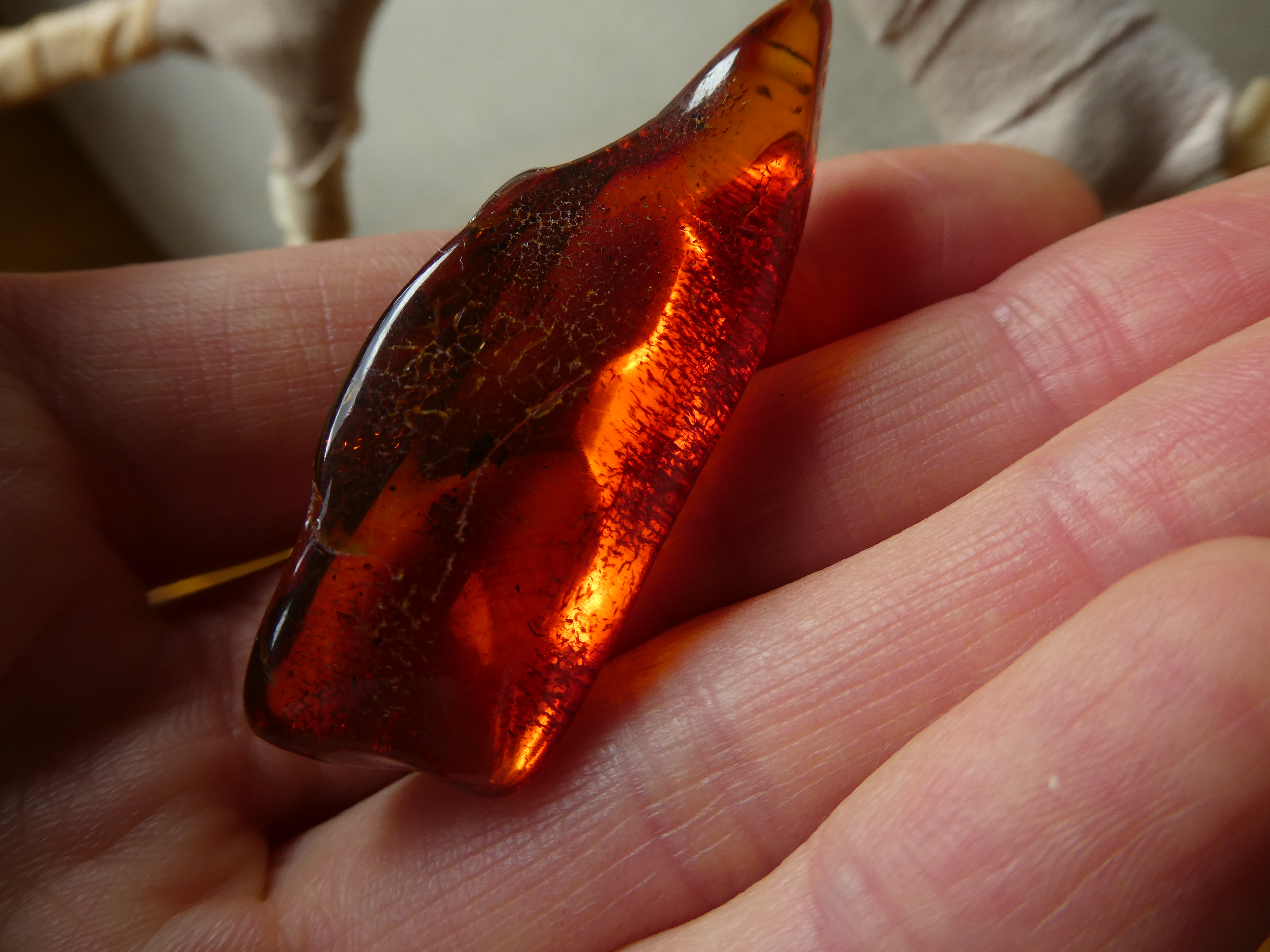 FIERY DOGTOOTH RADIANT RED BALTIC AMBER STONE 🔥🔥🧡❤ Natural Untreated Healer 🔥🔥🤎