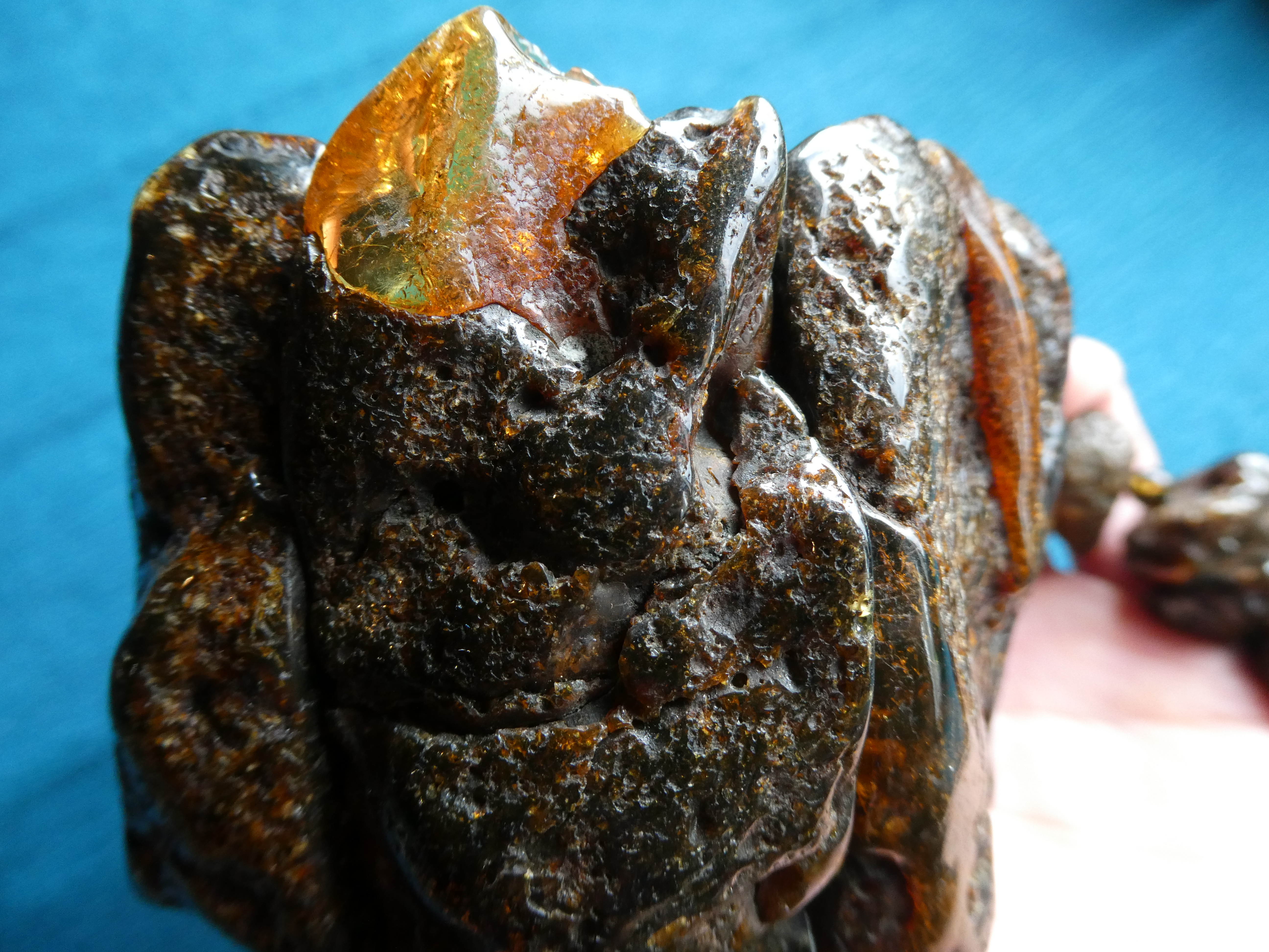 DRAGON IN THE TREE SET OF MASSIVE Baltic Amber Bracelet + Amber Necklace/ Mysterious UNPOLISHED Jewelry