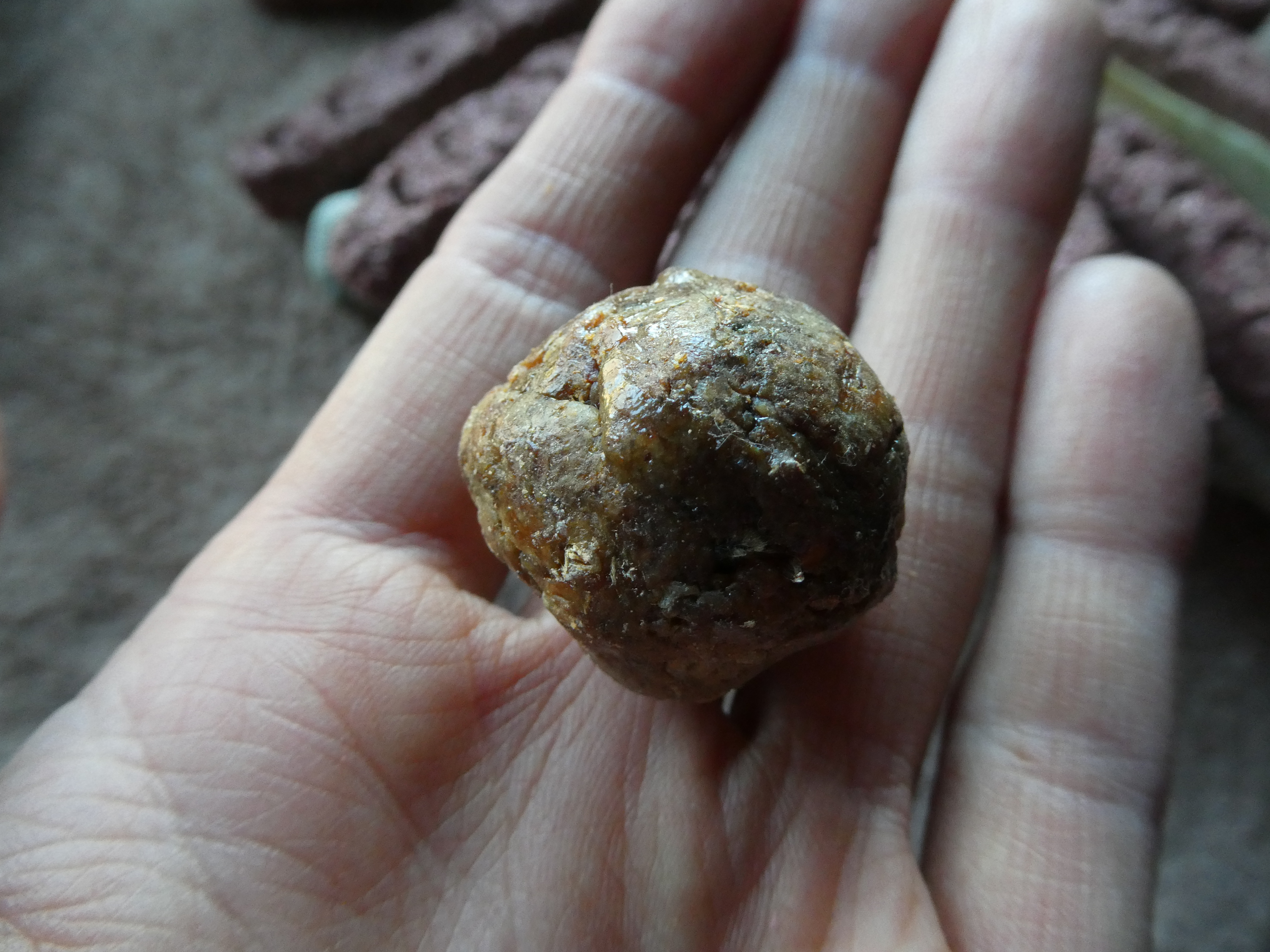 The Sweetness Of The Earth/ AMARANTH INCENSE STICK With Propolis, Lavender, Thyme/ Sweet Strong Scent/ Huge Botanical Incense One (1) Stick