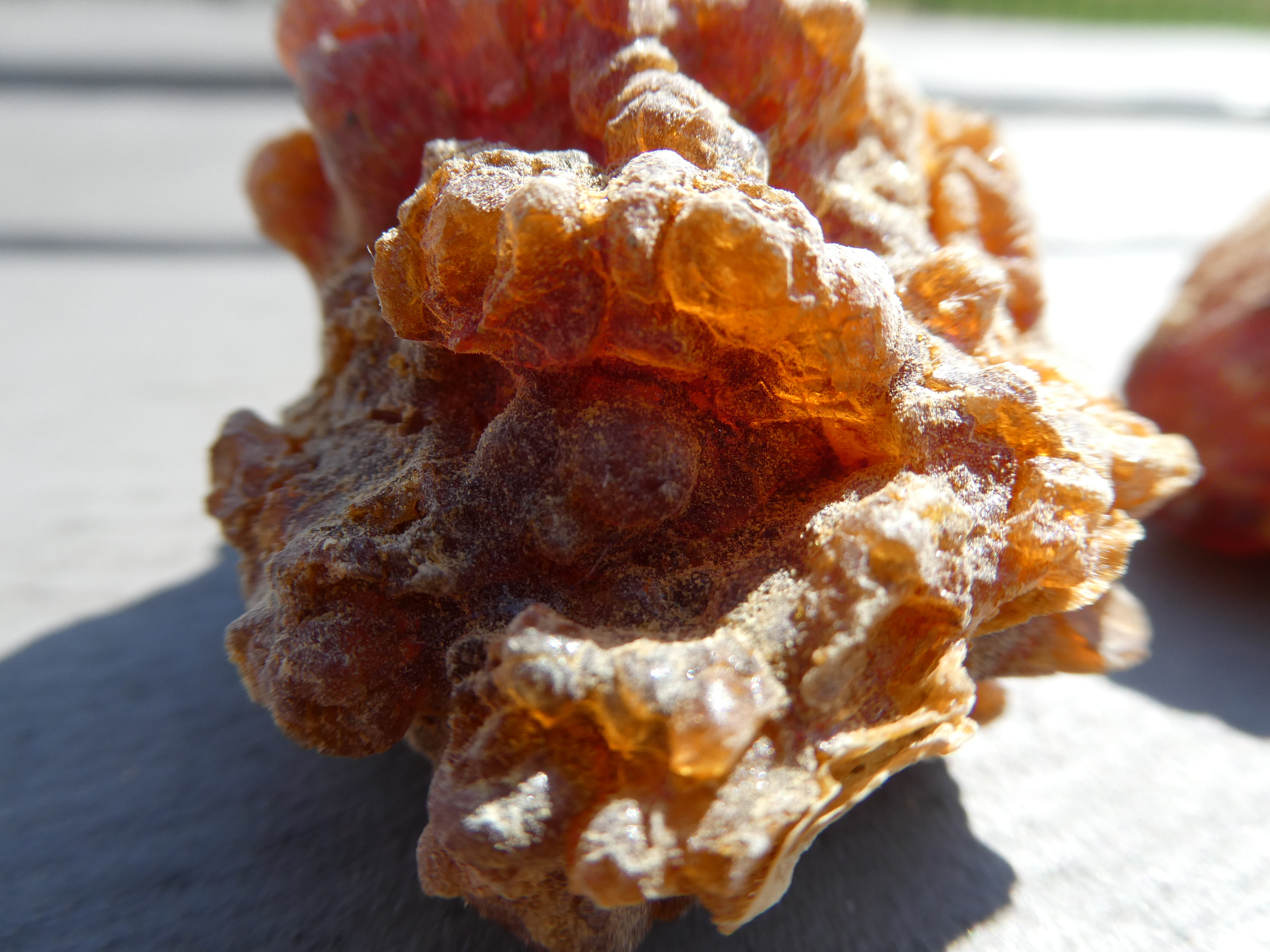 MYRRH Commiphora myrrha From Somalia/ High Quality Resin/ Incense