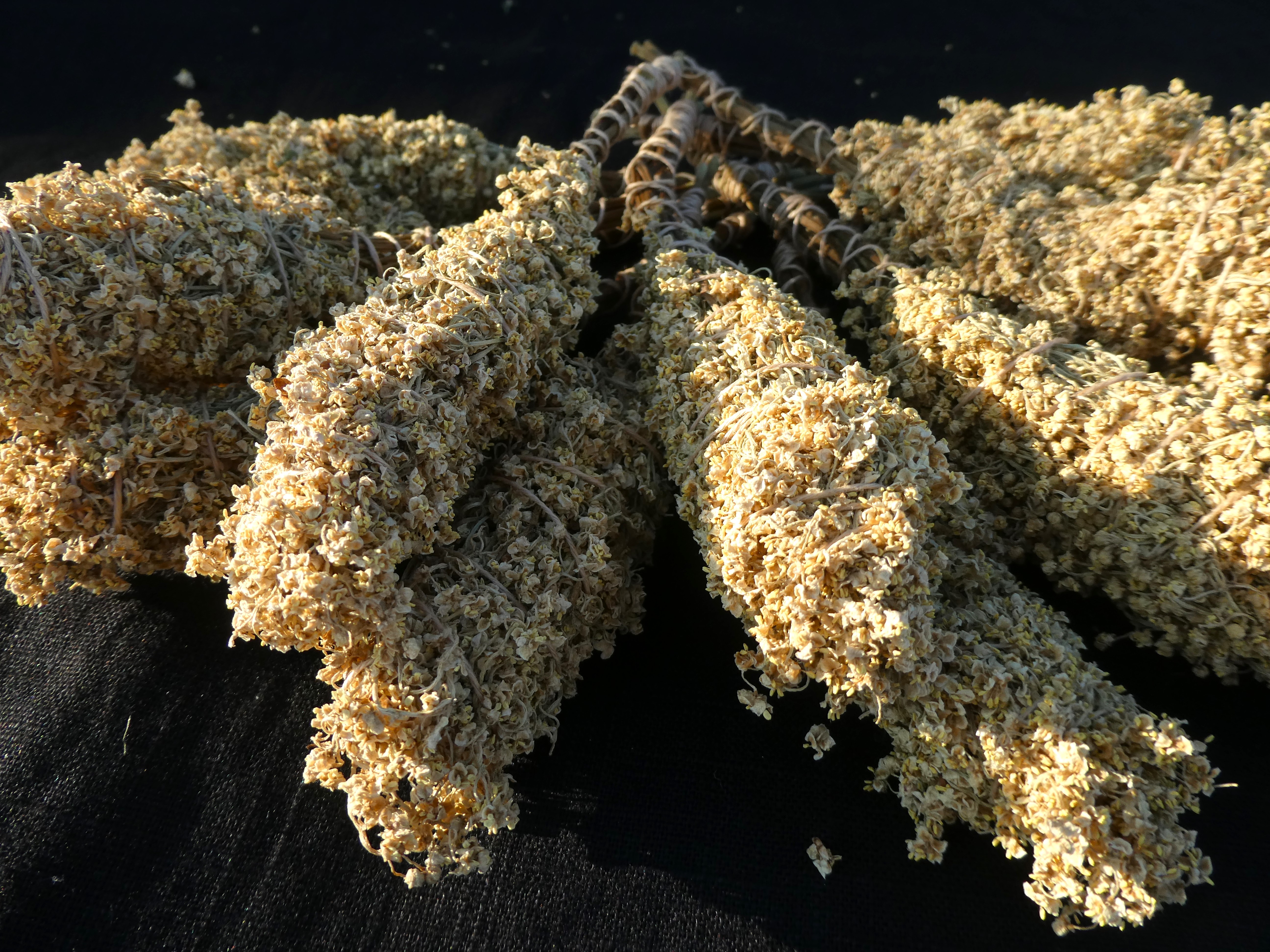 WILD ELDERBERRY Bundle/ Smudge Wand / Wizards Tree